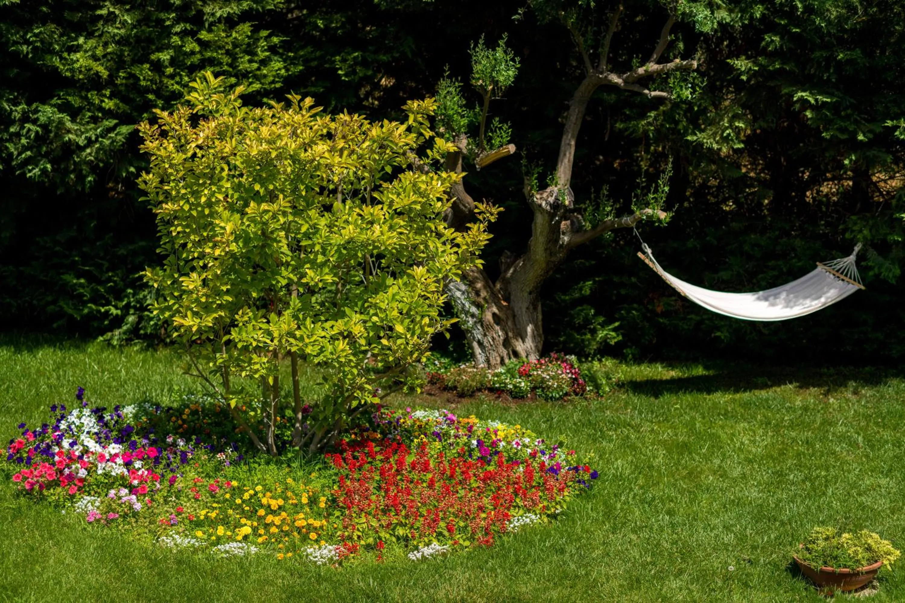 Garden in Anthemion Suites and Villas