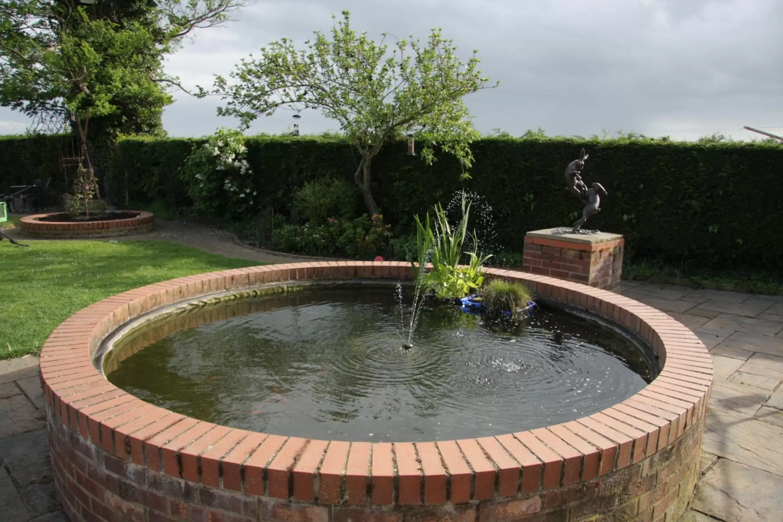 Garden, Swimming Pool in Pointers Guest House