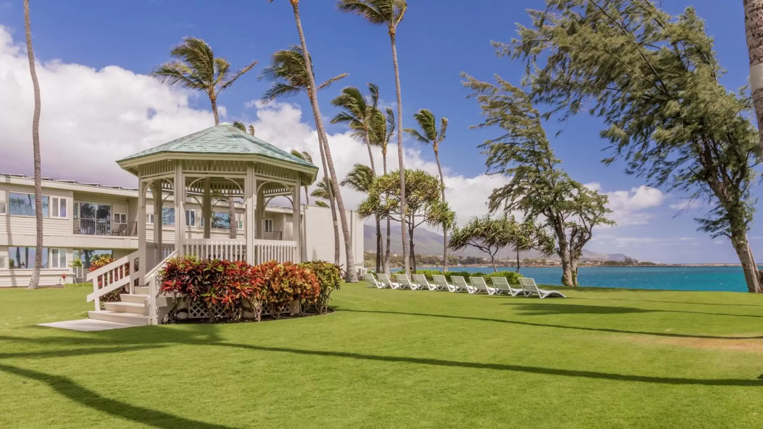 Garden, Property Building in Maui Beach Hotel