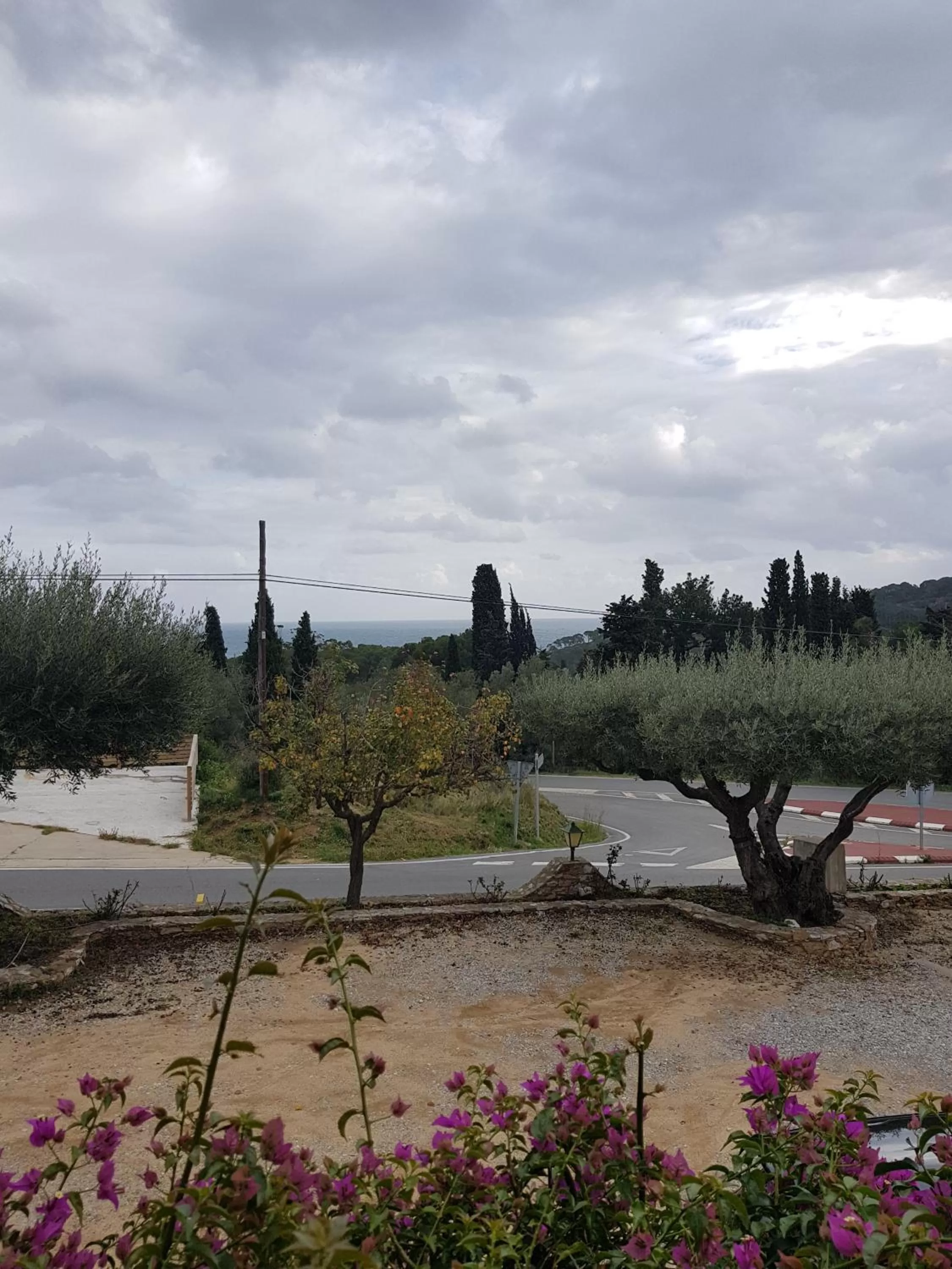 Beach in Hostal Ondina
