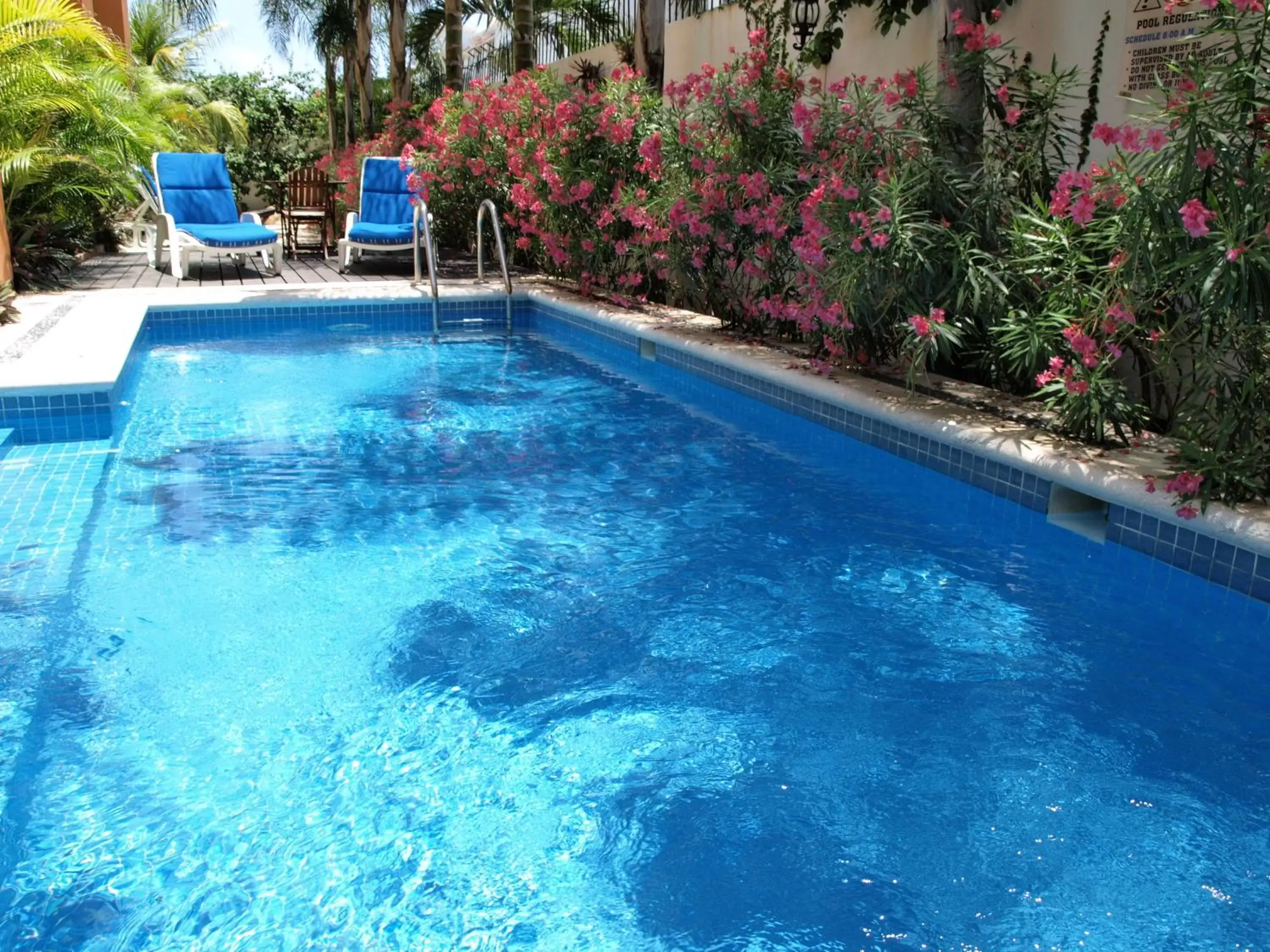Pool view, Swimming Pool in Hotel Las Golondrinas