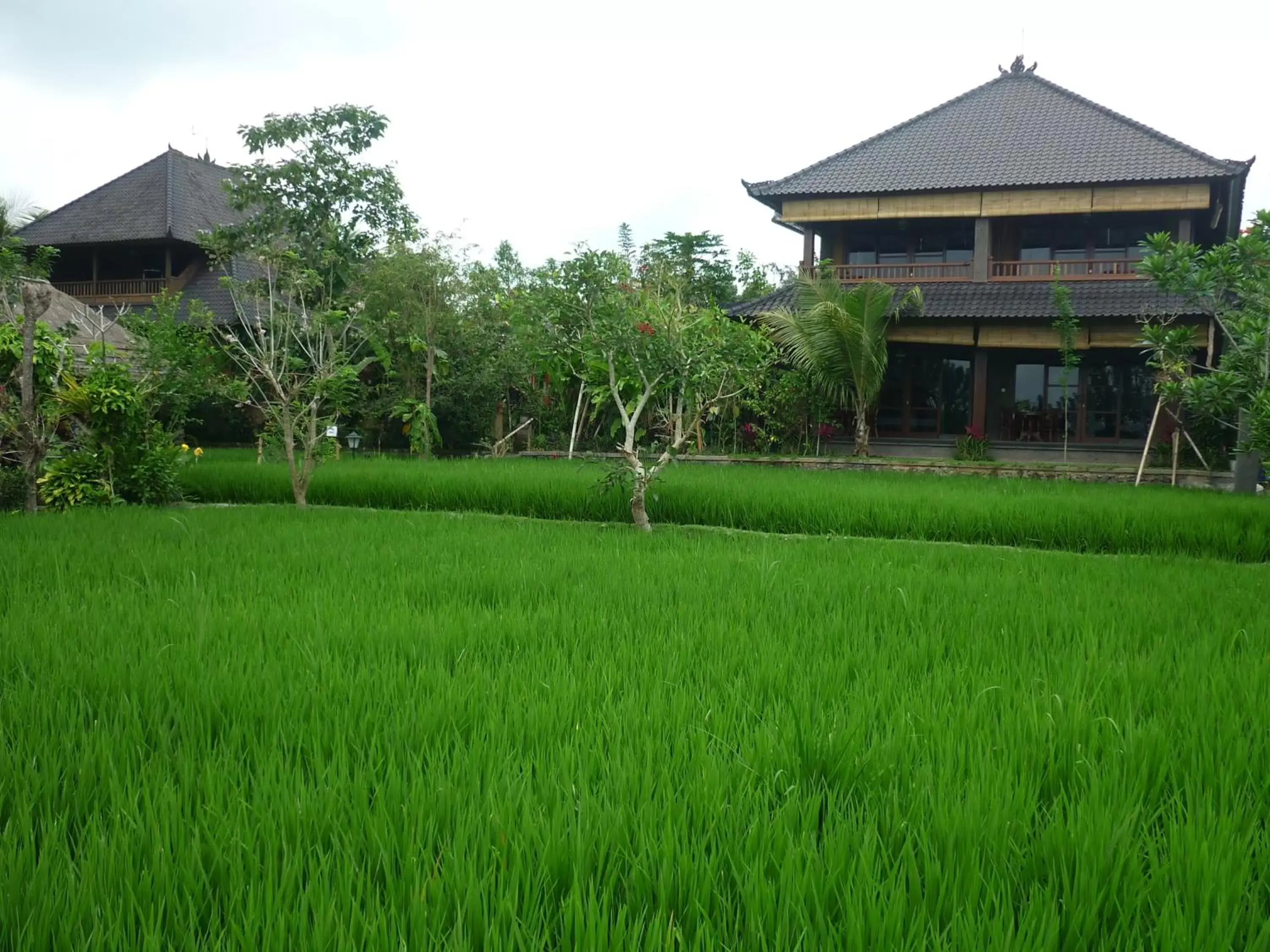 View (from property/room), Garden in Bliss Ubud Spa Resort