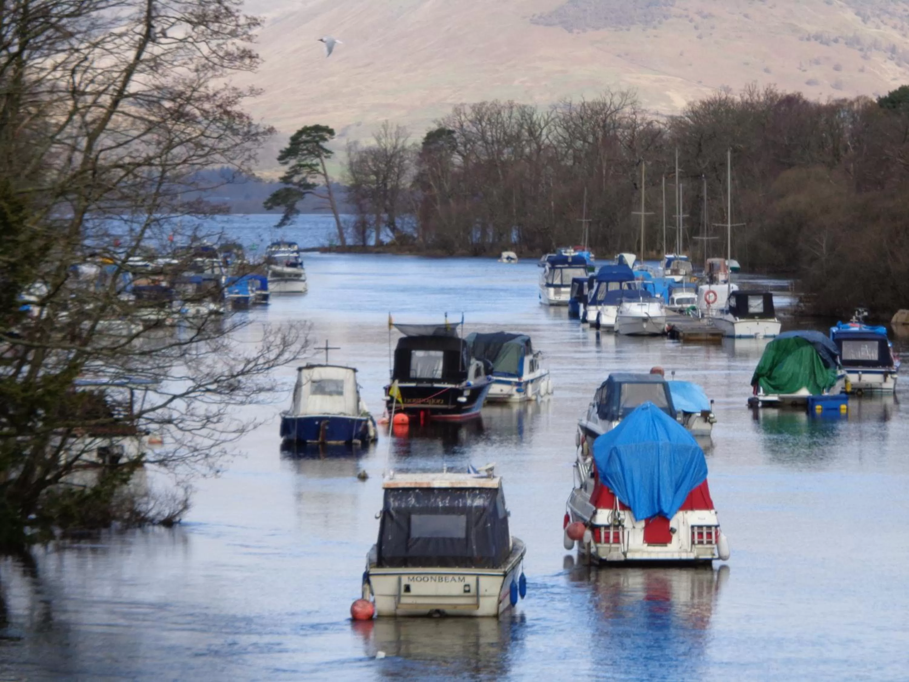 Day in Glenfern Guest House and a separate Cottage with its own private hot tub