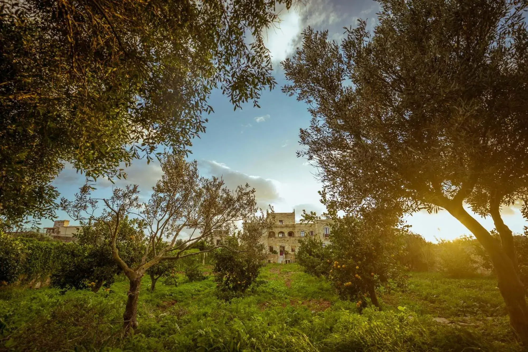 Property building in Mulberries