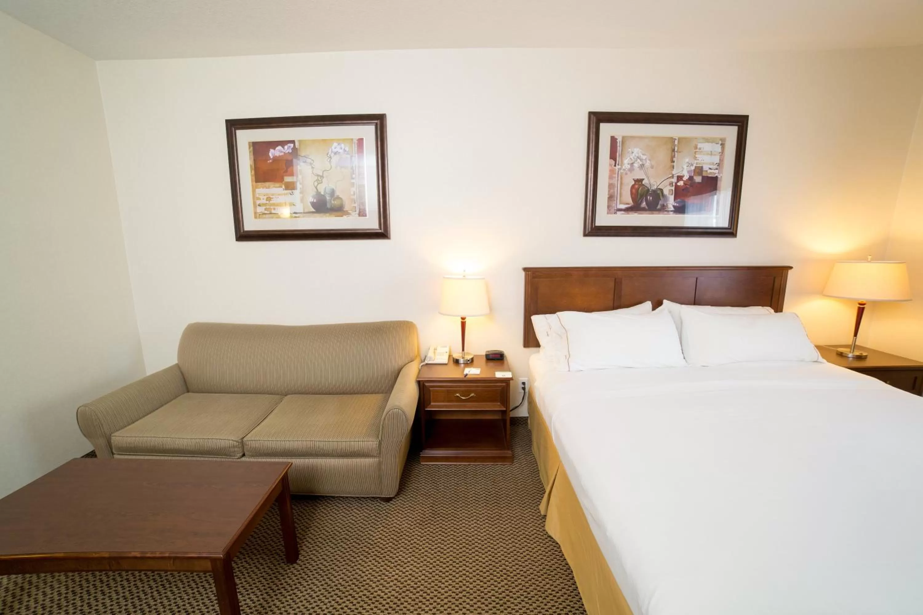 Photo of the whole room, Bed in Holiday Inn Express & Suites Drayton Valley by IHG