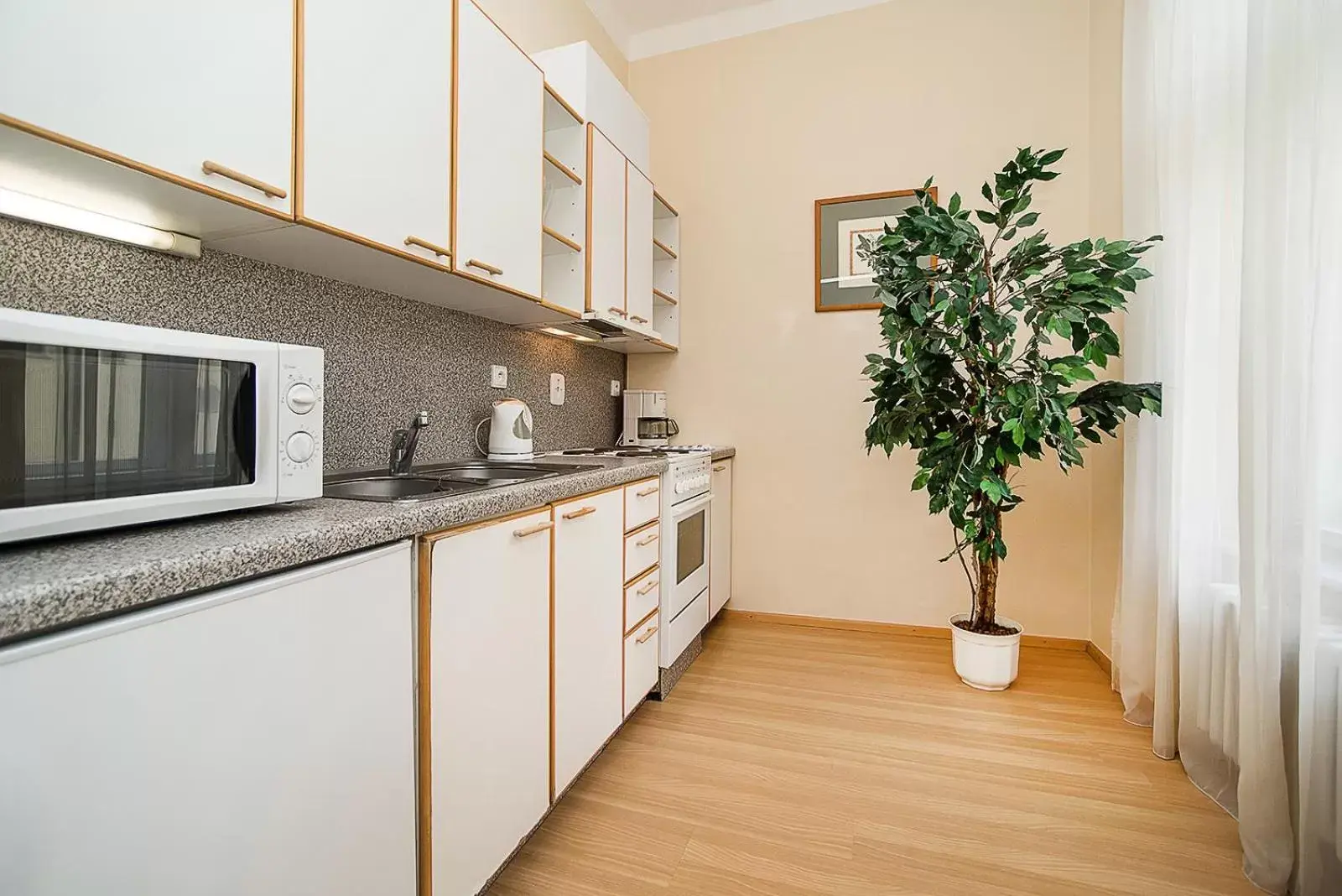 Kitchen or kitchenette, Kitchen/Kitchenette in Hotel Orion