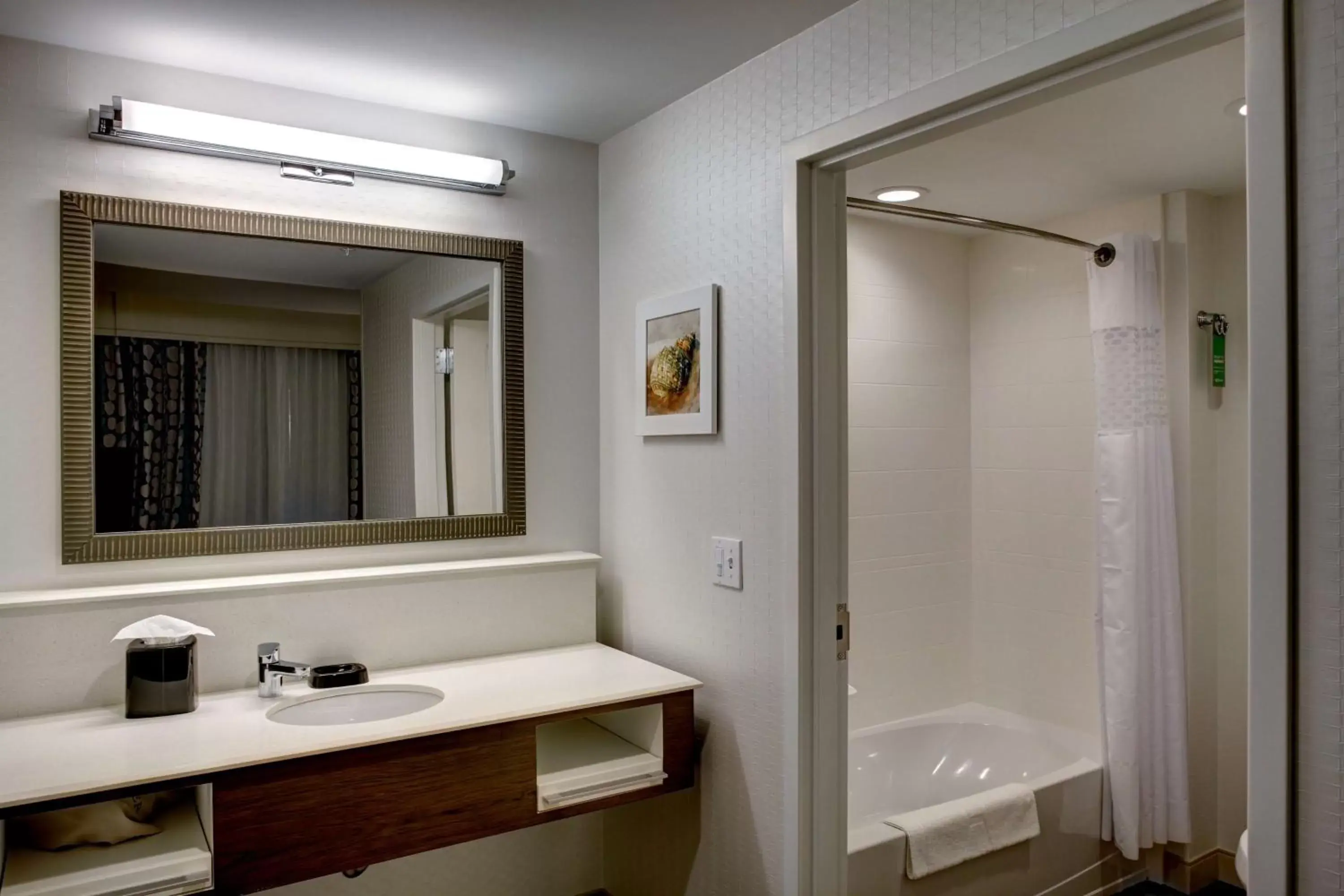 Bathroom in Hampton Inn and Suites by Hilton Vero Beach-Downtown