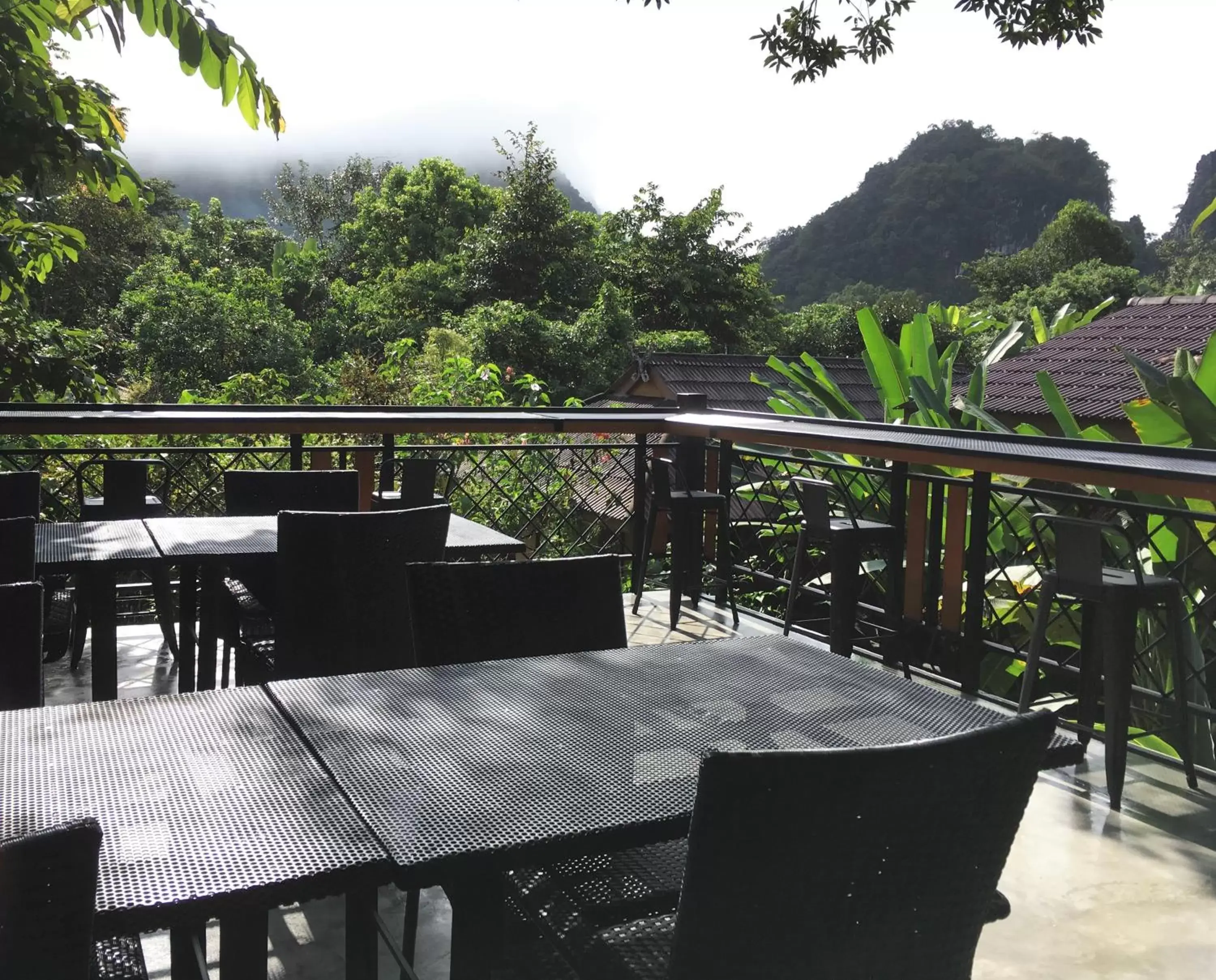 Restaurant/places to eat in Khao Sok Morning Mist Resort