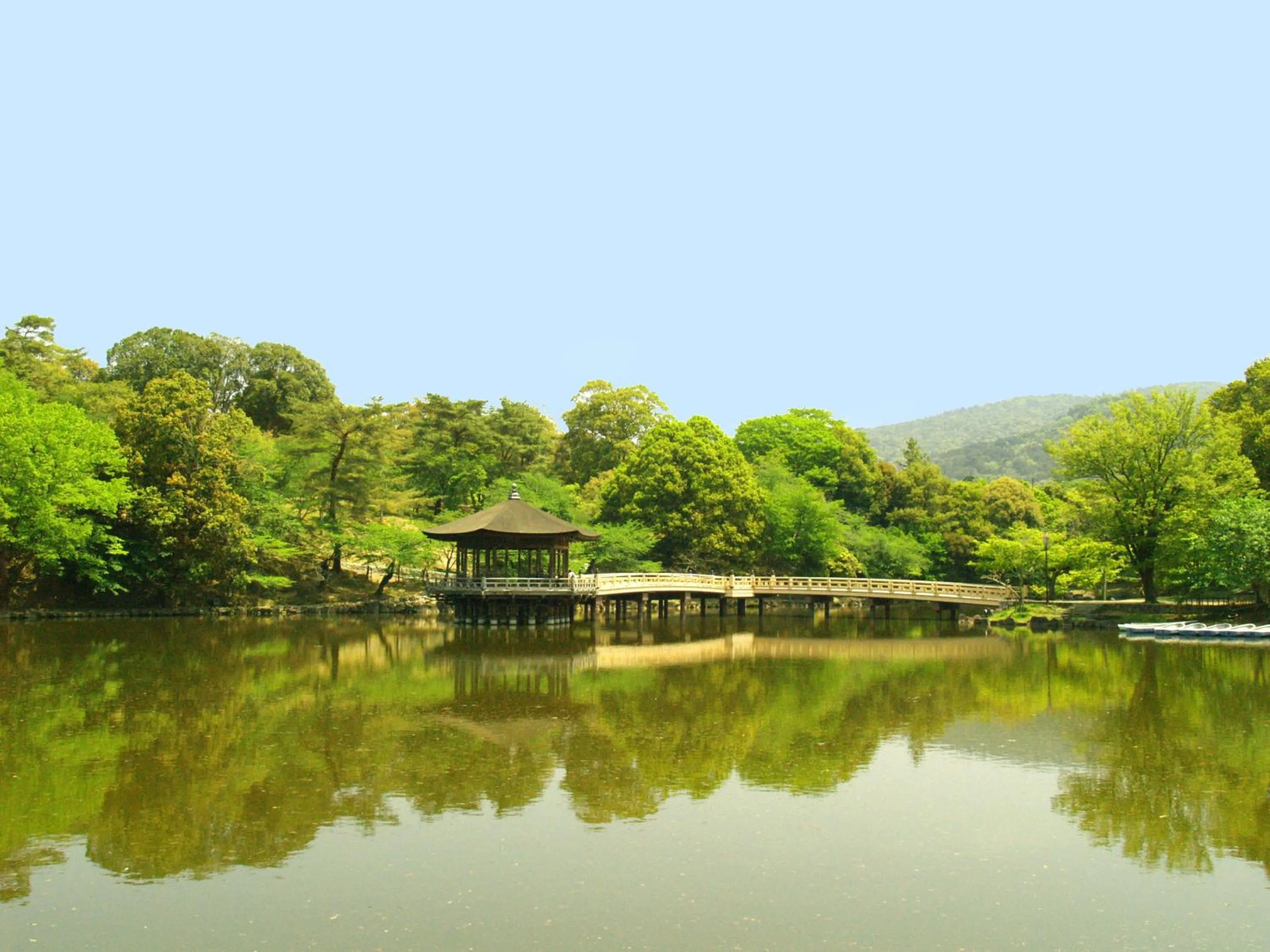 Area and facilities in Guesthouse Nara Komachi