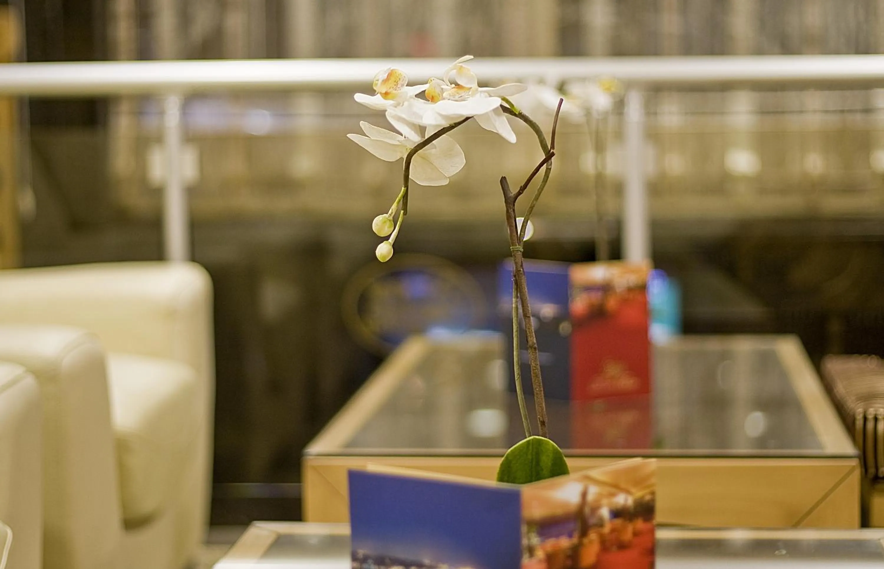 Lobby or reception in Park Star Hotel Taksim