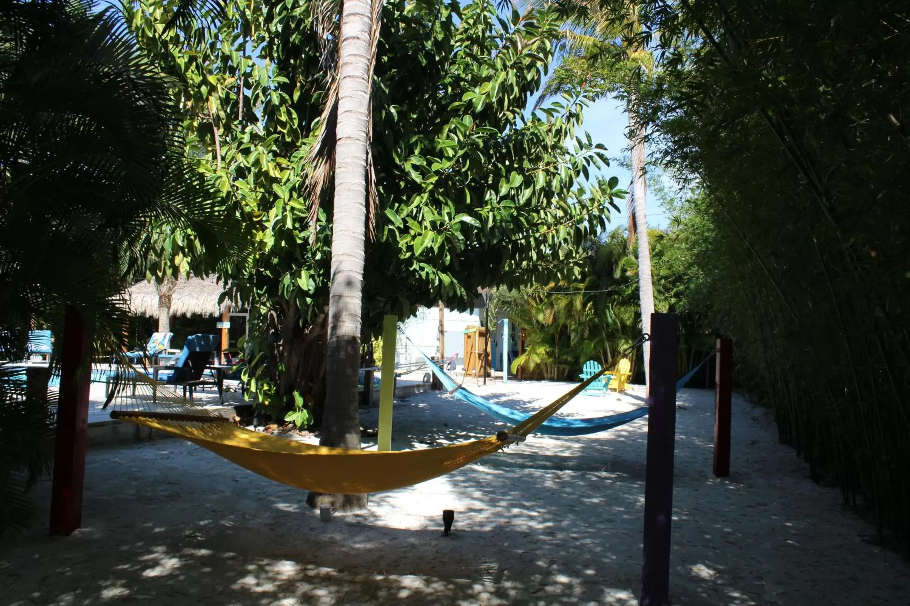 Garden in Siesta Key Palms Resort