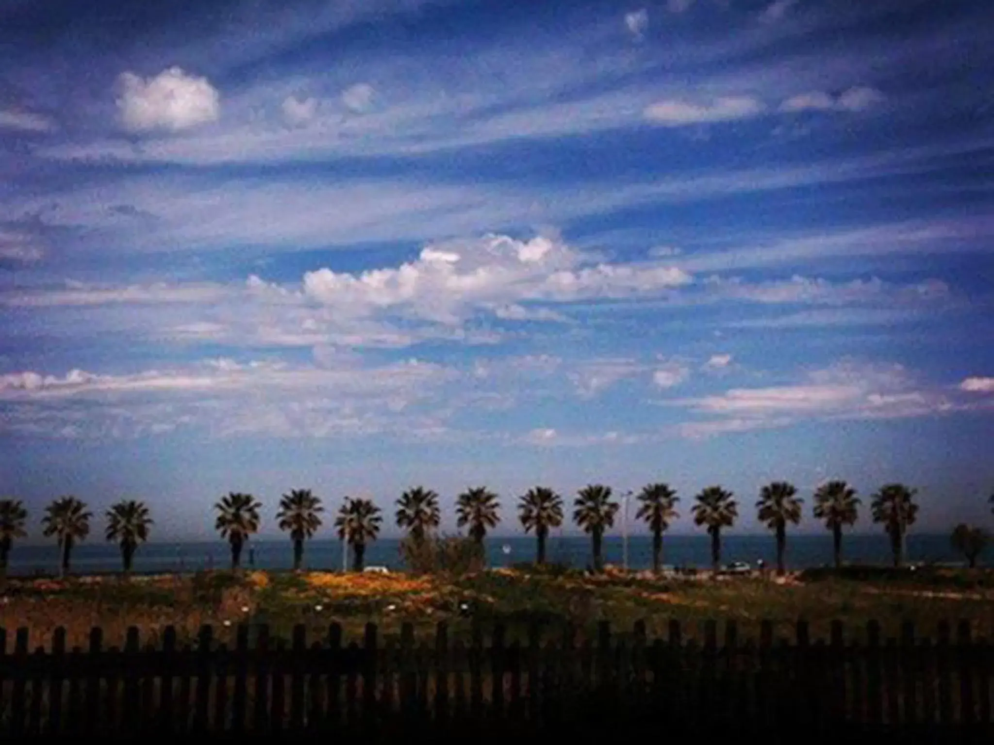 Beach in La Palma Del Sol