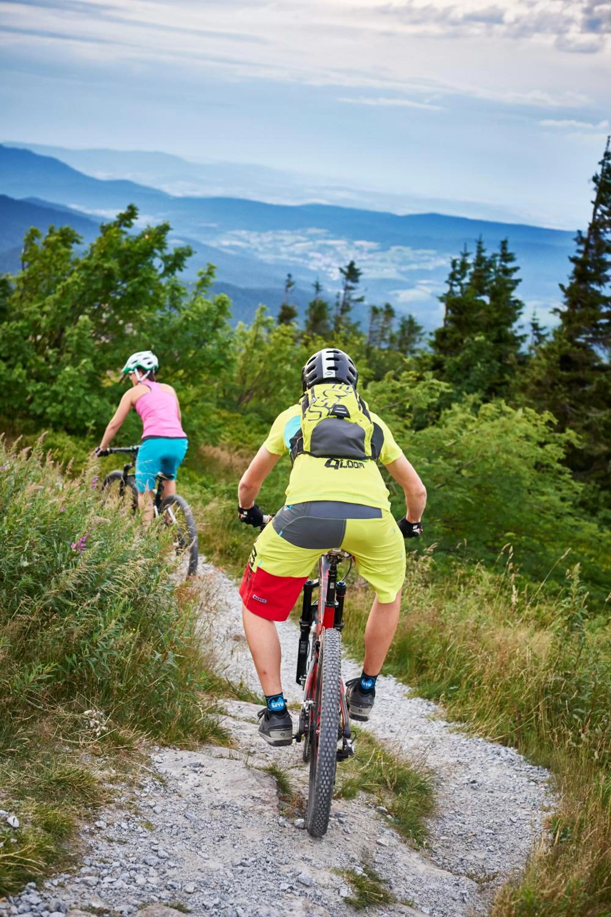 Natural landscape in Wander und Aktiv Hotel Rösslwirt