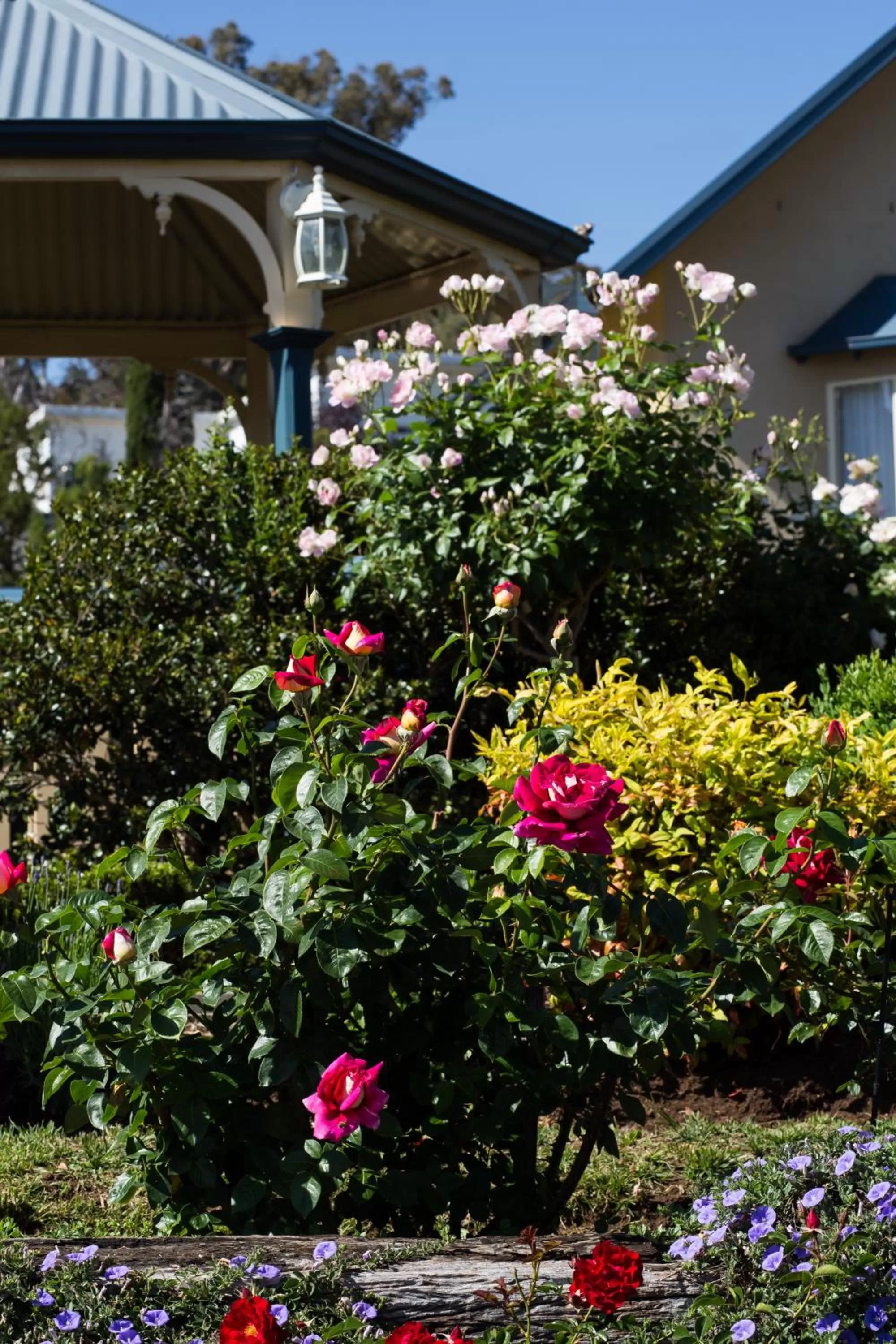 Garden in Willows Motel