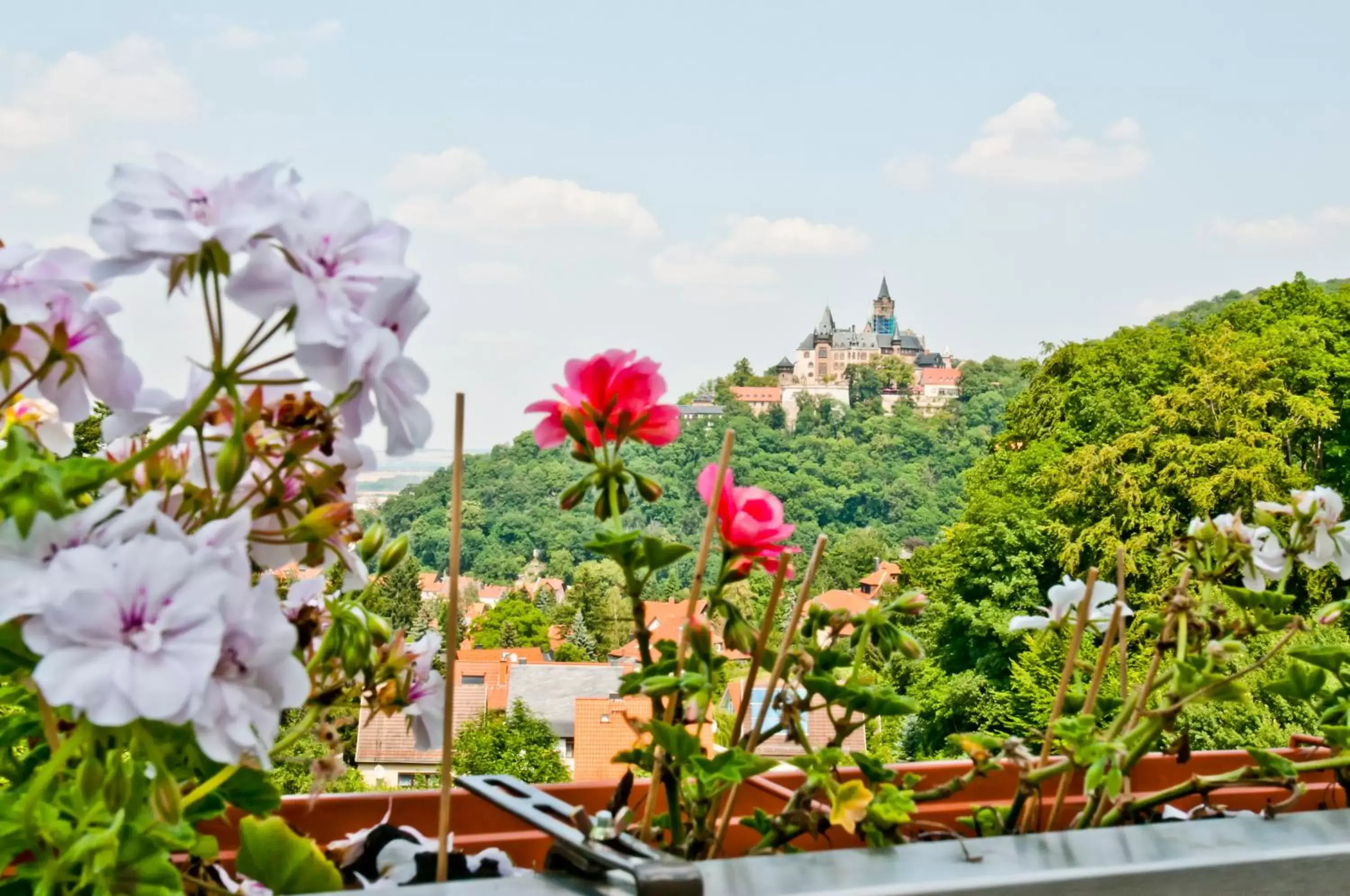 View (from property/room) in REGIOHOTEL Schanzenhaus Wernigerode