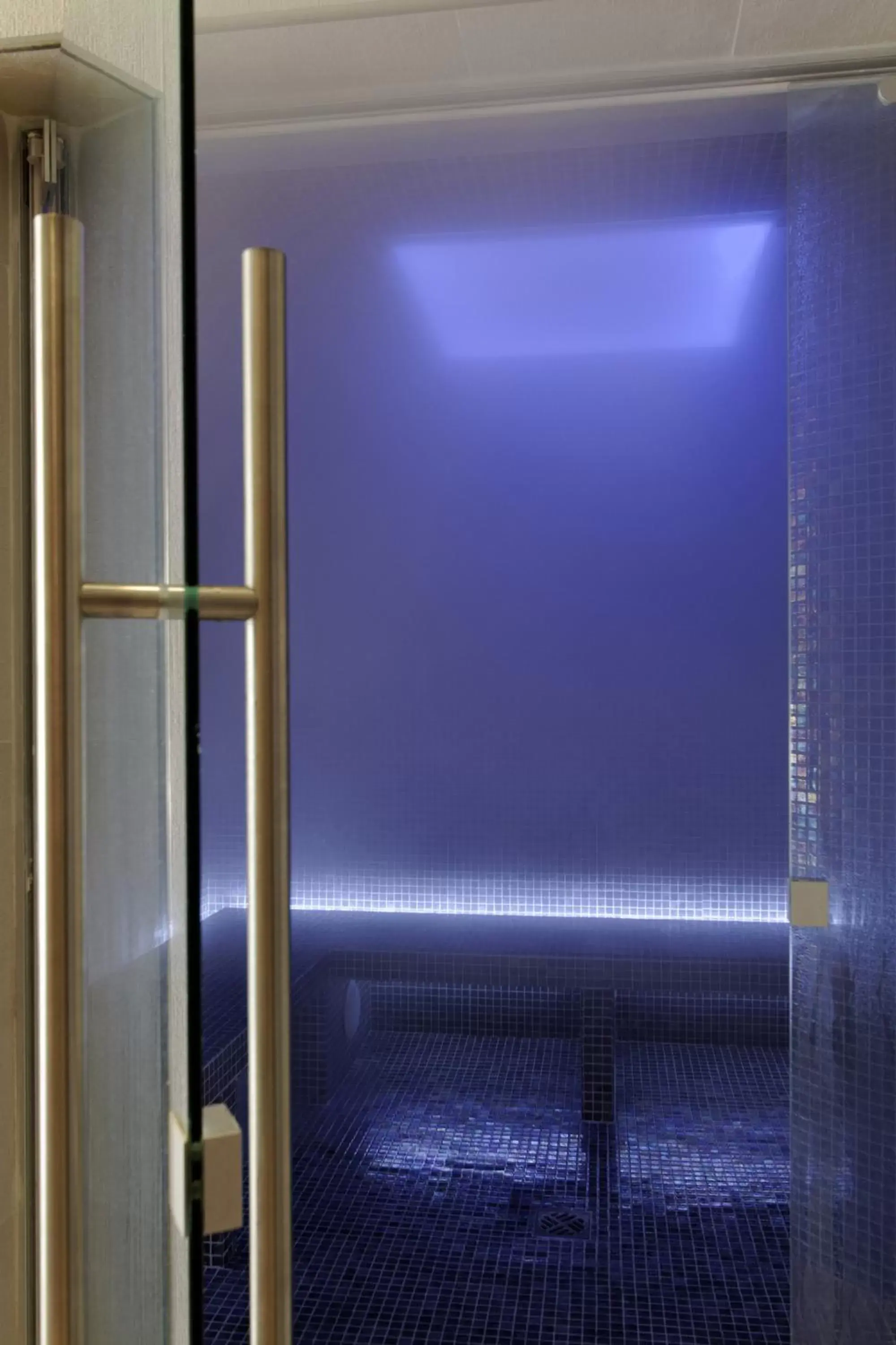 Steam room in Mercure Brignoles Golf de Barbaroux & Spa