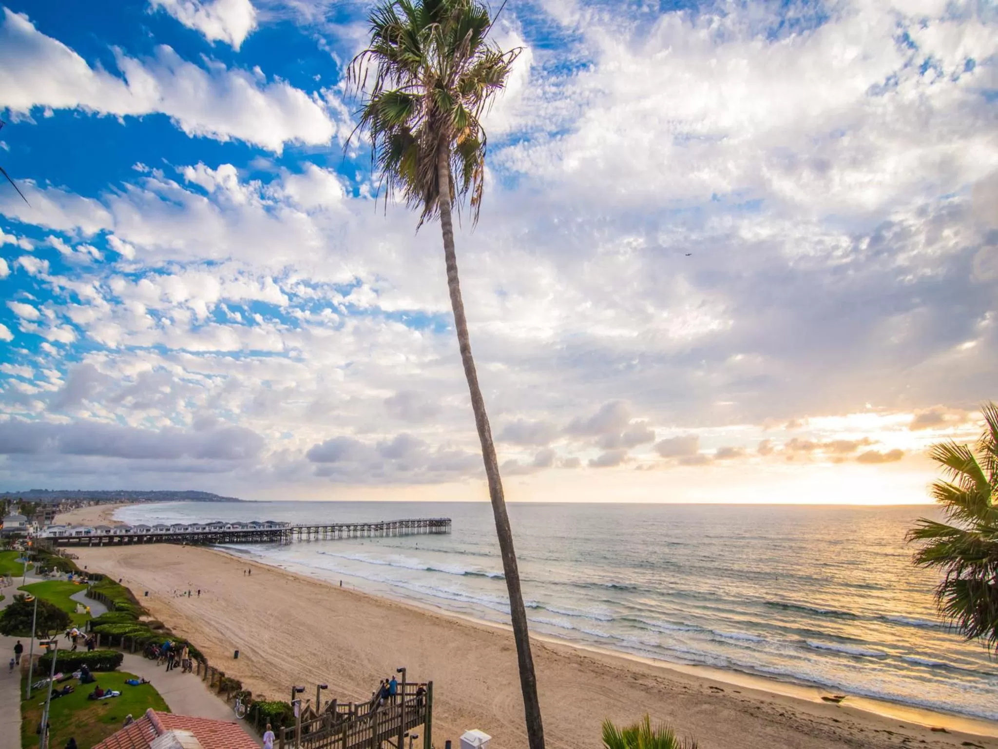 Natural landscape in Pacific Terrace Hotel