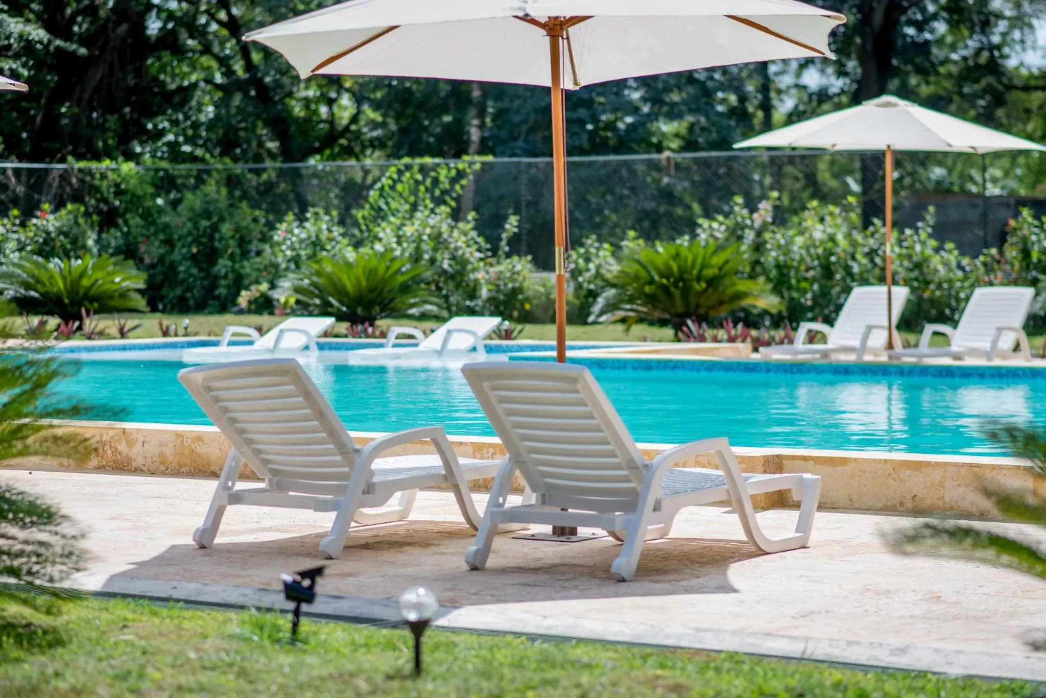 Swimming pool in Caribbean Diamond Boutique Hotel