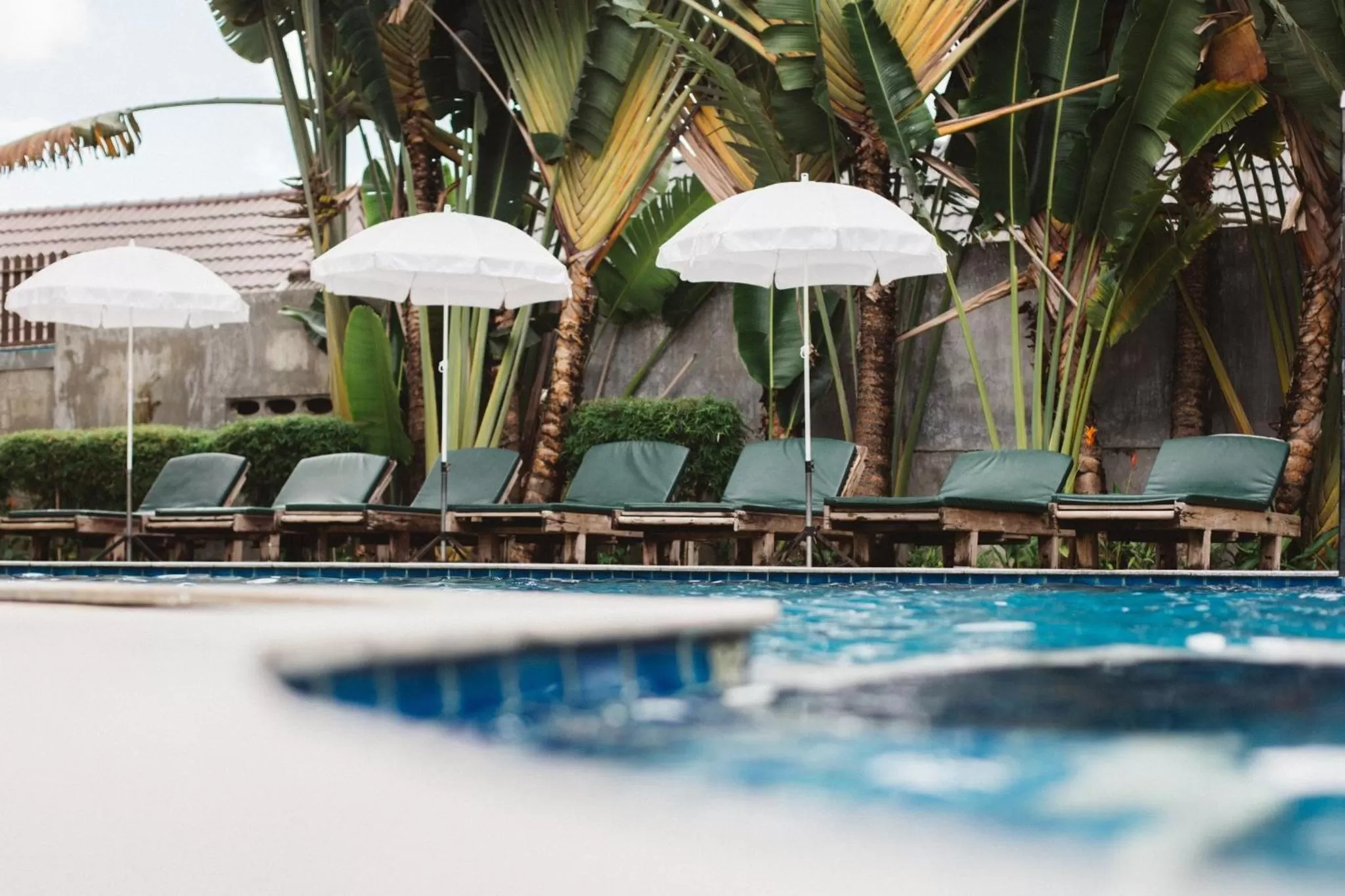 Pool view in Diamond Park Inn Chiangrai & Resort