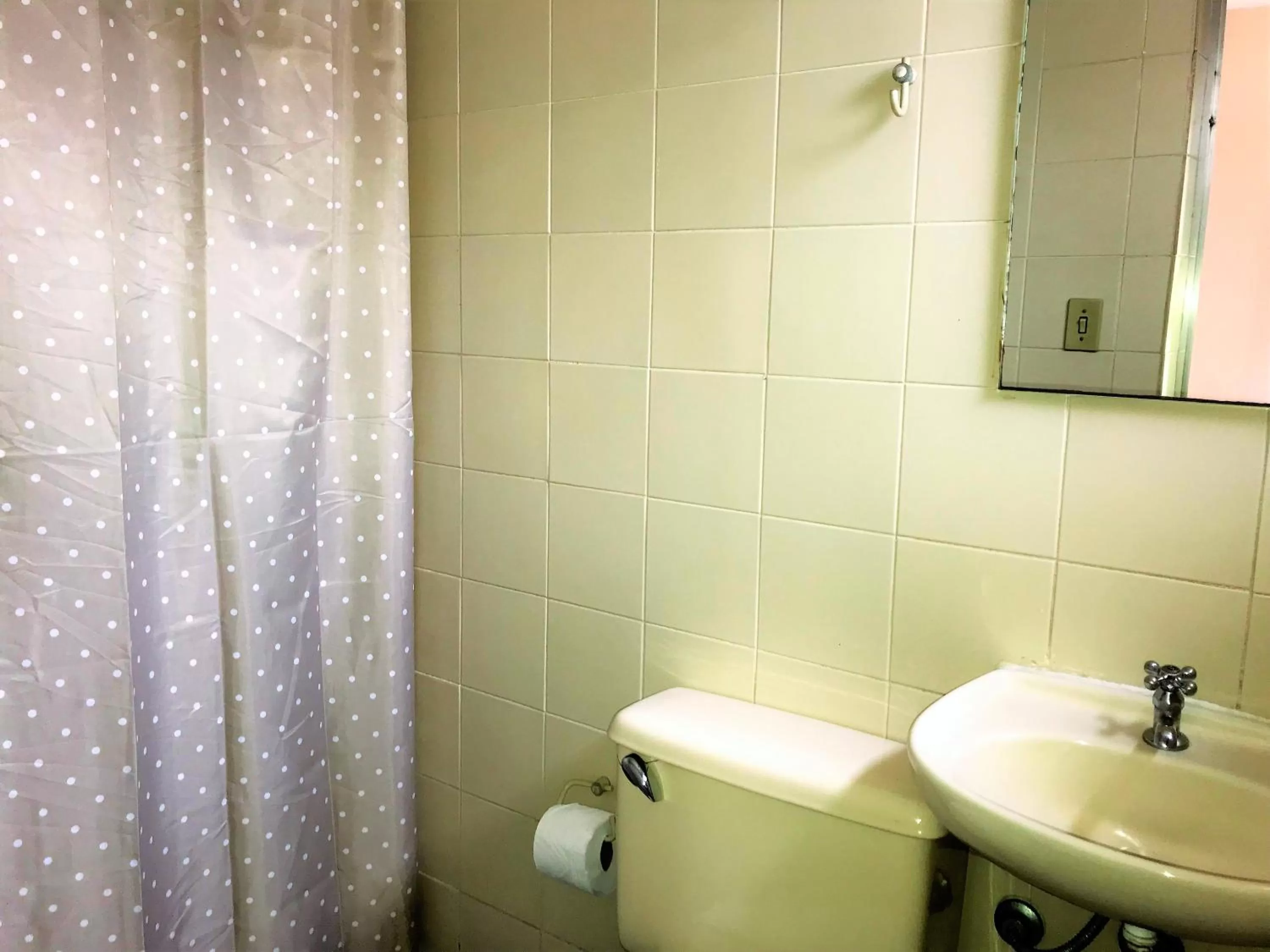 Bathroom in Hotel São Jorge São Paulo - Próximo a 25 de março, região do Brás, fácil acesso ao Expo Center Norte e Mercado Municipal SP