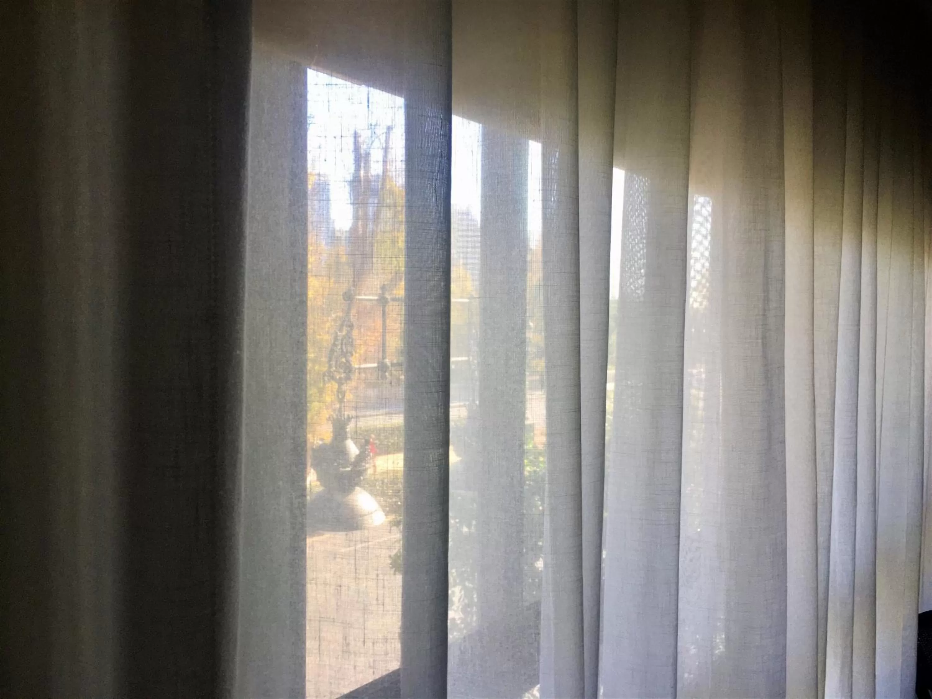 View (from property/room) in MD Modern Hotel - Jardines