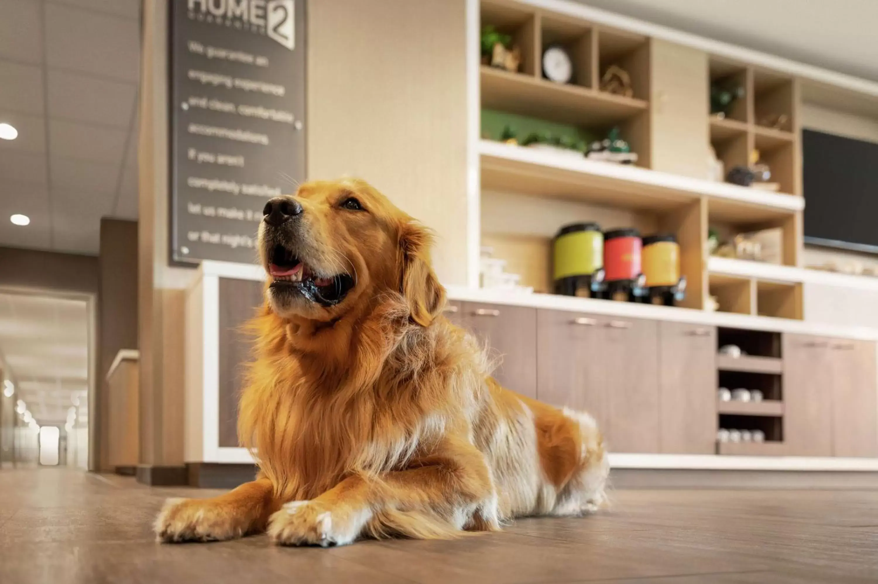 Lobby or reception, Pets in Home2 Suites By Hilton Rochester Greece