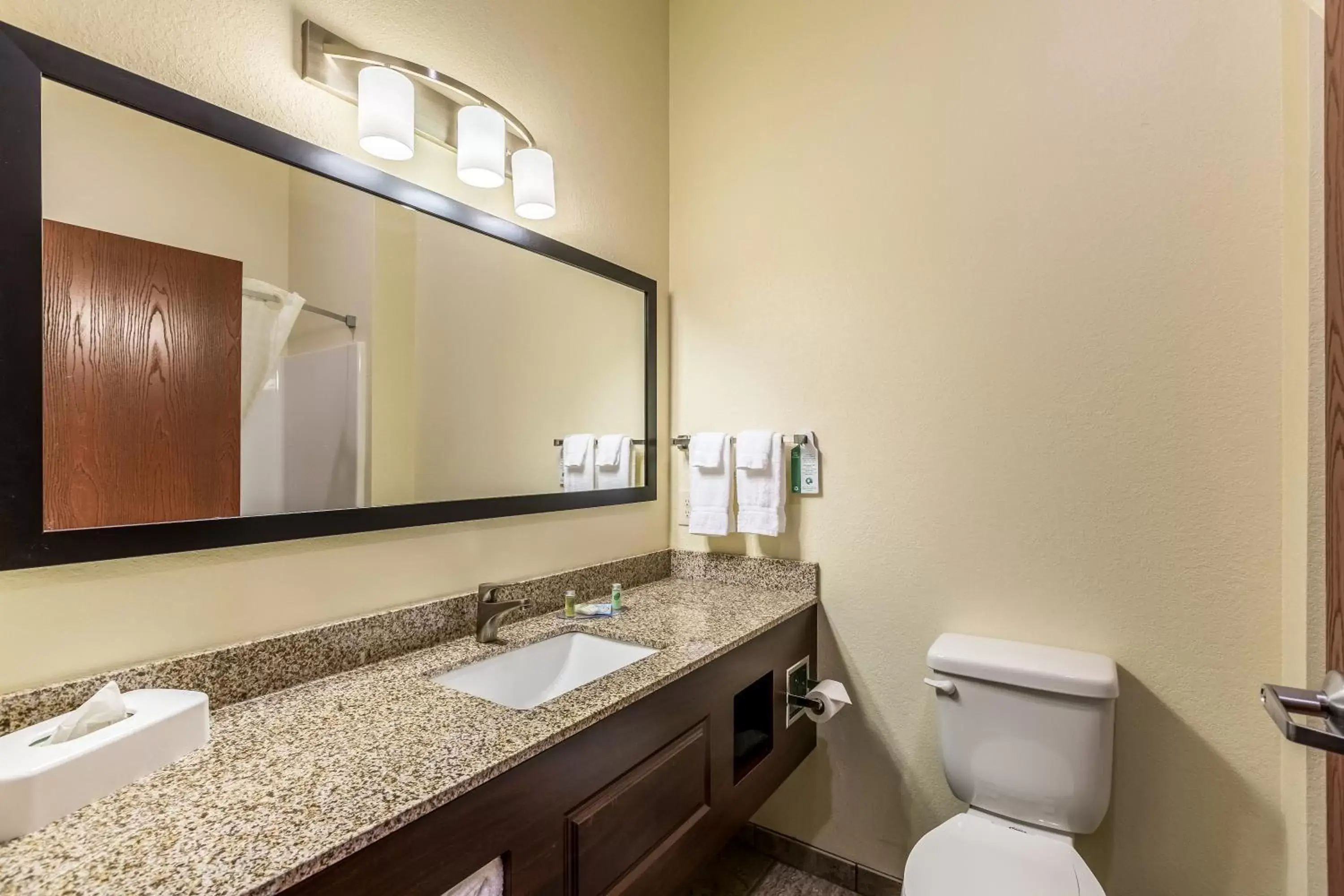 Shower, Bathroom in Cobblestone Hotel & Suites Hartford