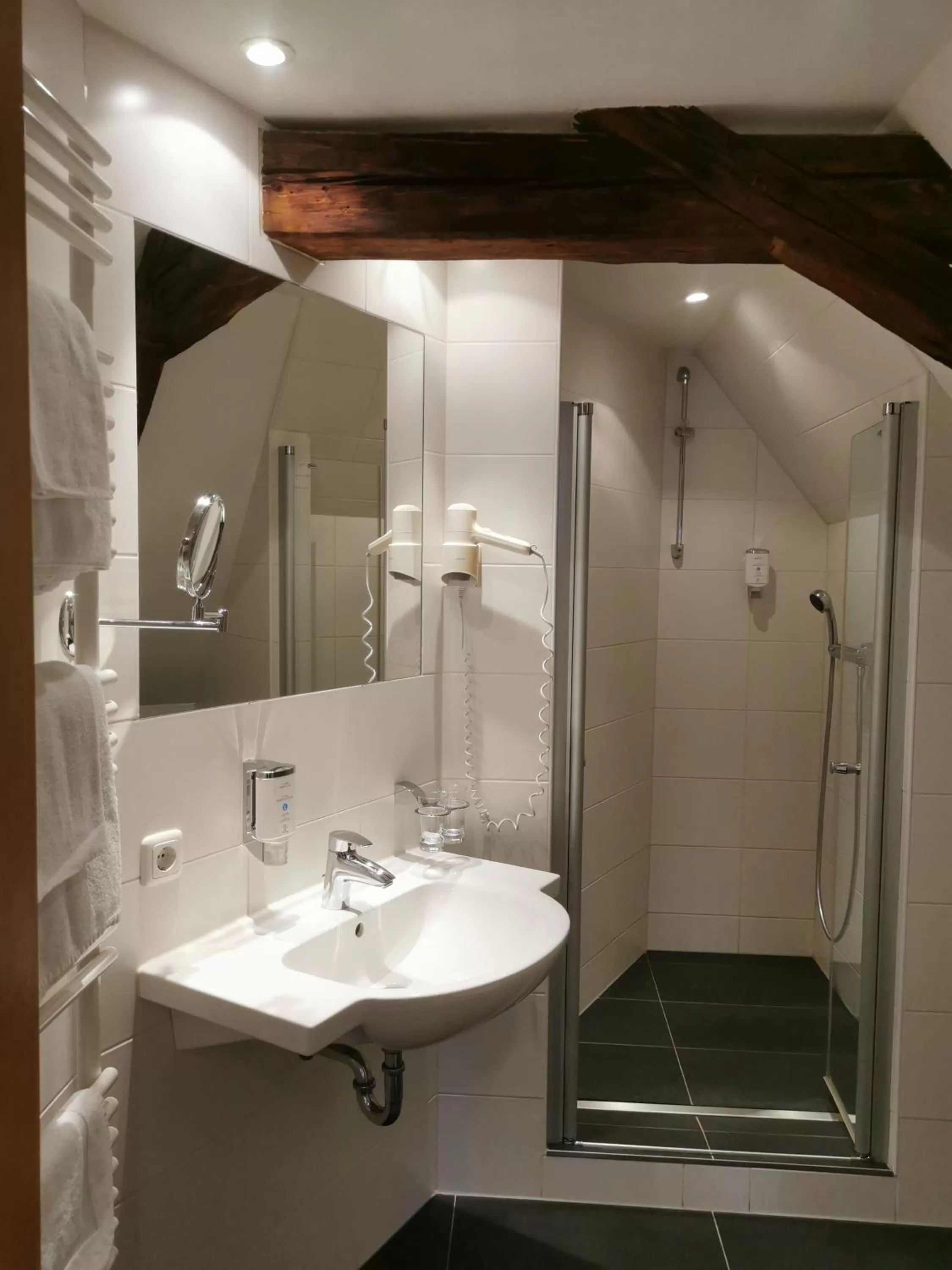 Toilet in Hotel Frauensteiner Hof