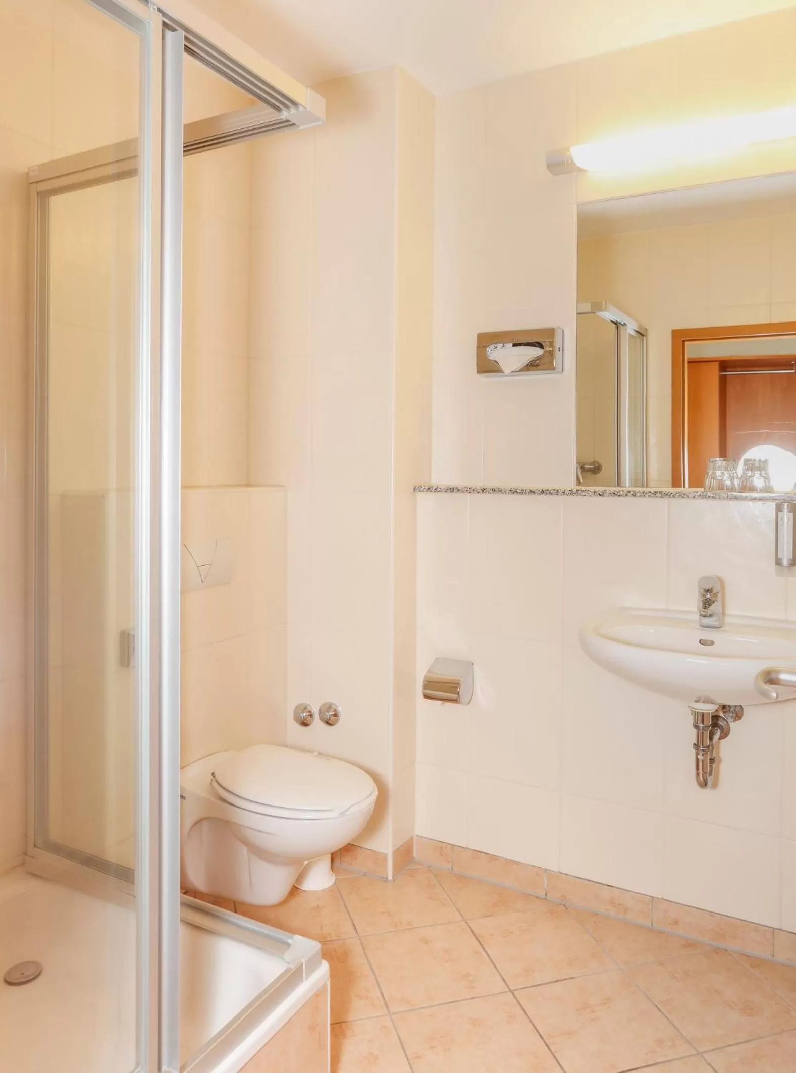 Toilet in Hotel am Rhein