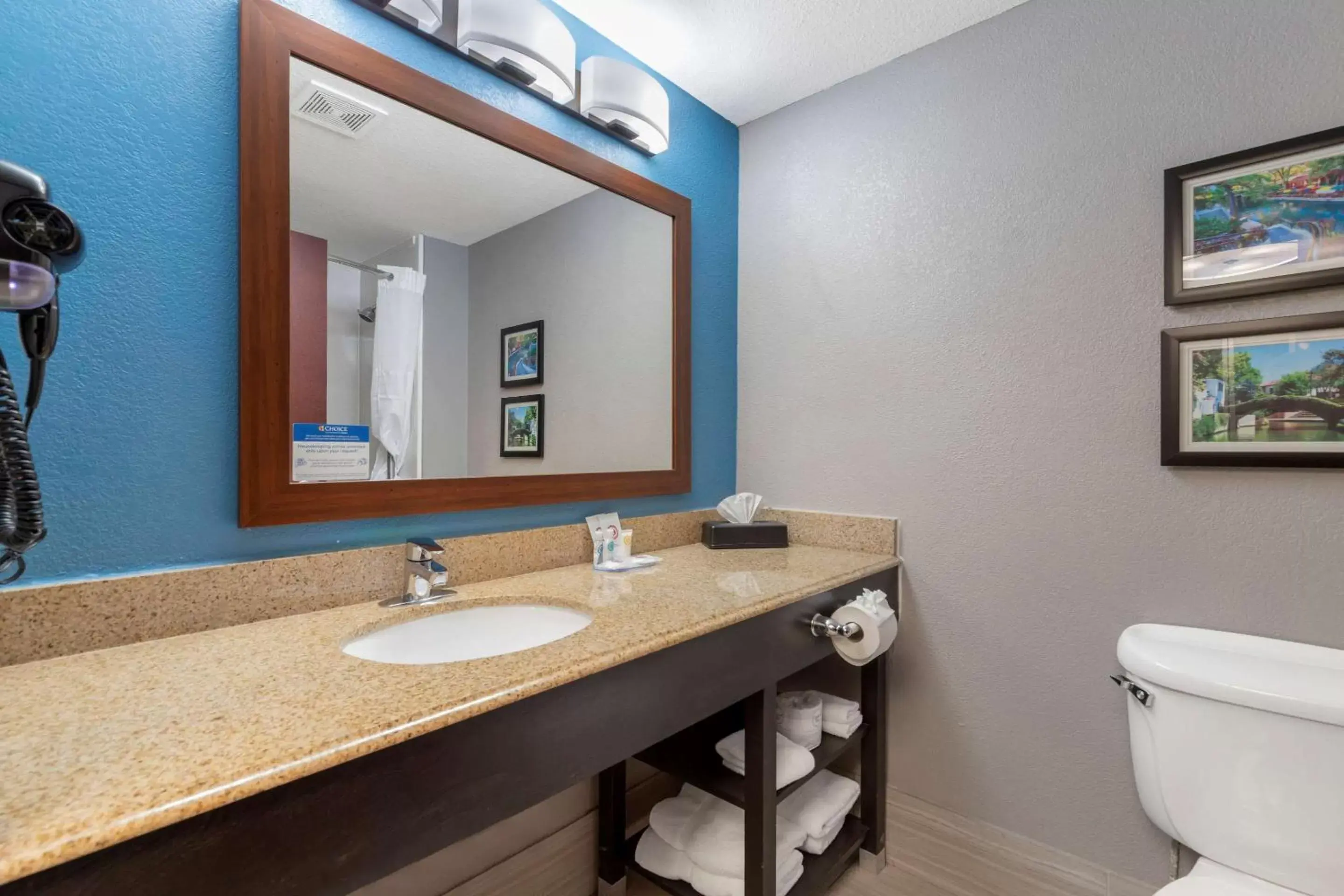 Bedroom, Bathroom in Comfort Inn & Suites Near Medical Center