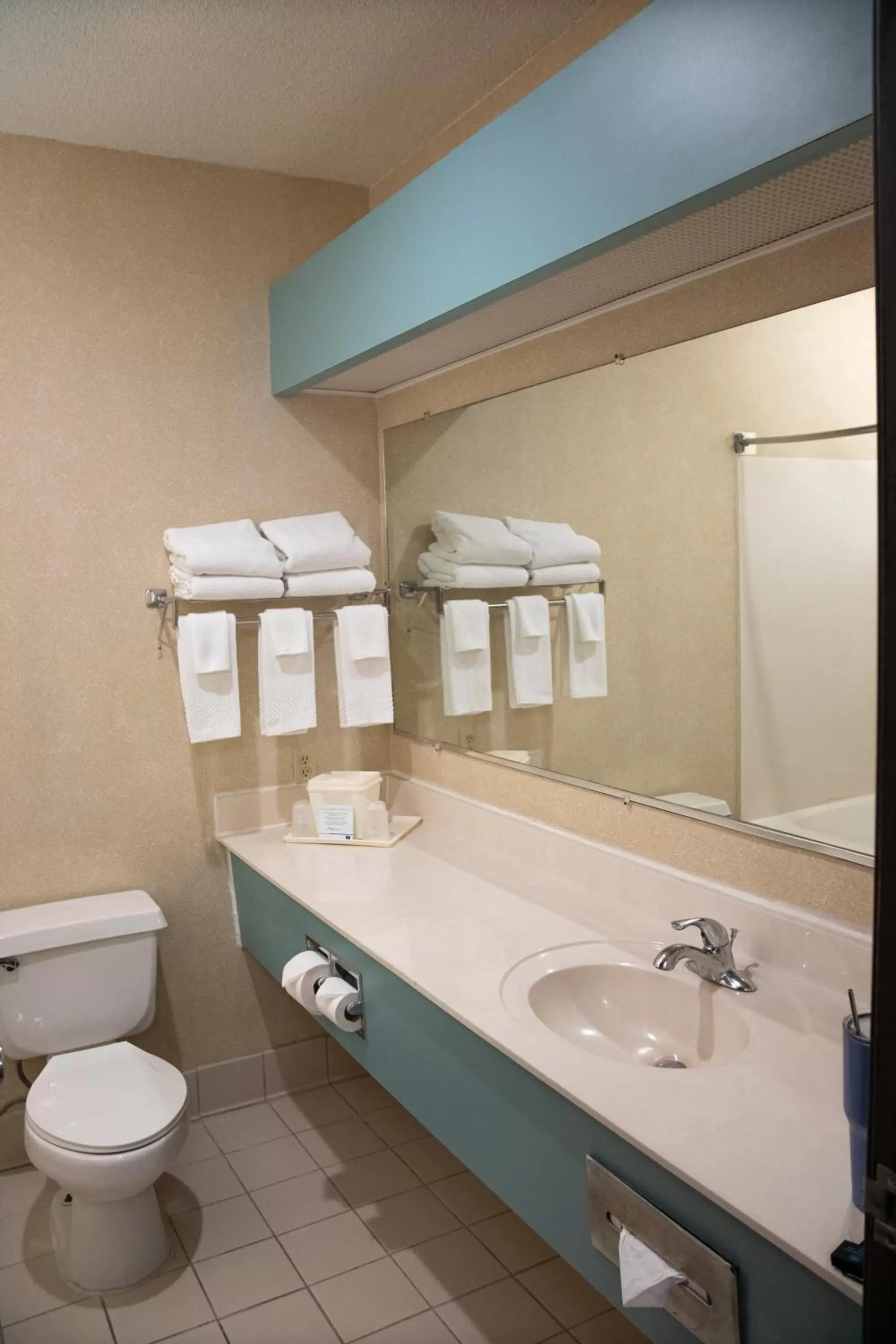 Toilet, Bathroom in Comfort Inn Sioux City South