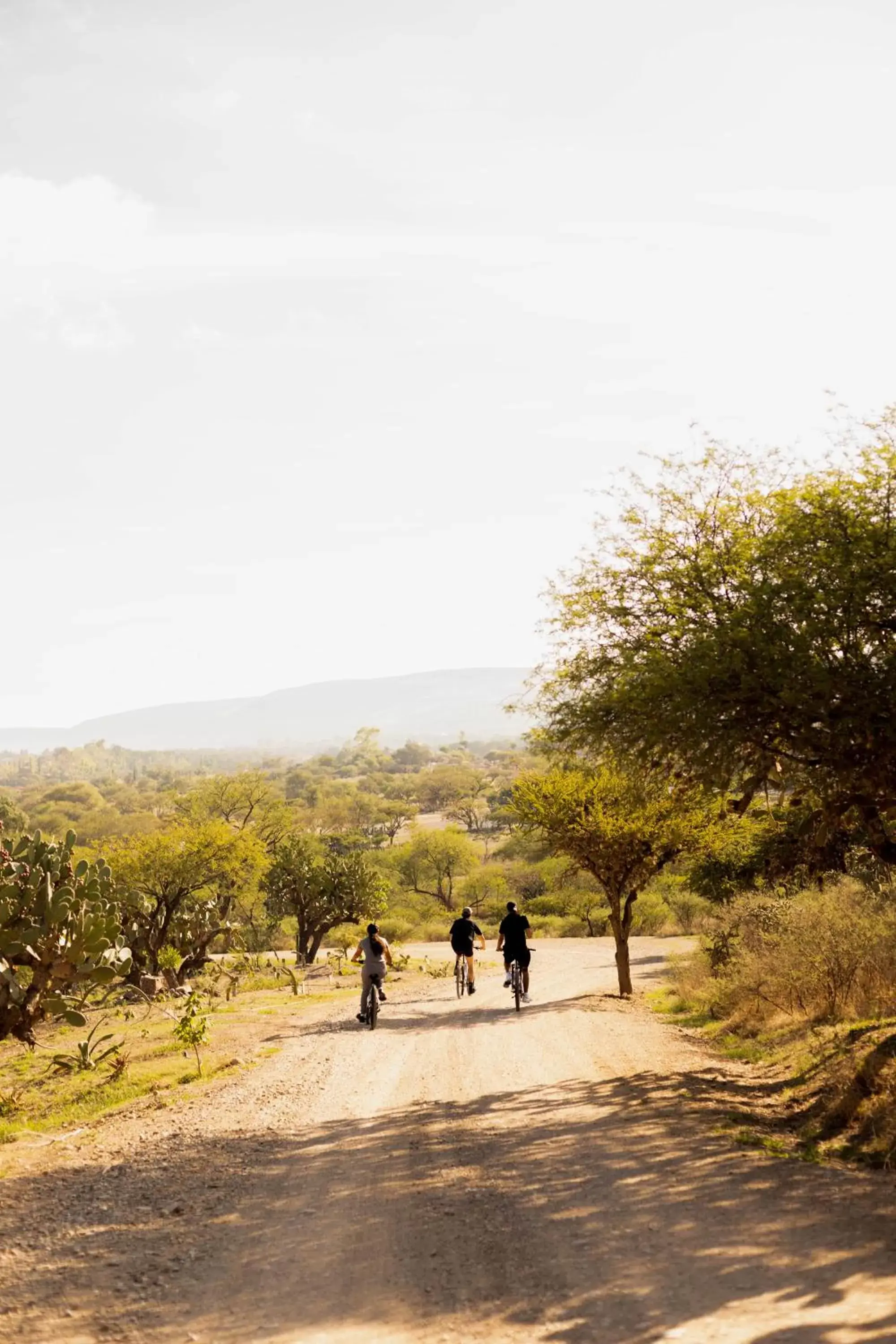 Cycling in Our Habitas San Miguel de Allende