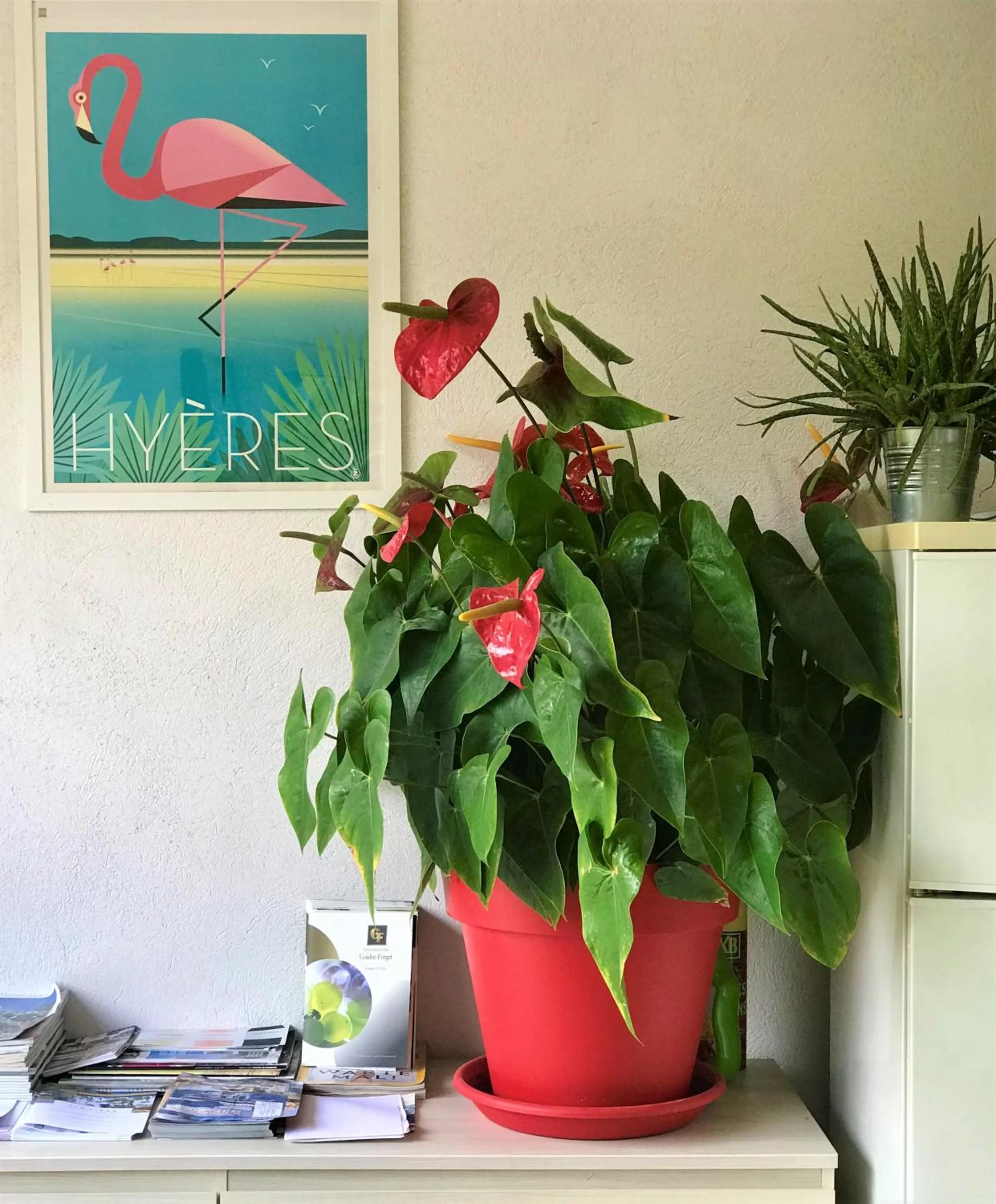 Lobby or reception in Domaine de l'Aufrene