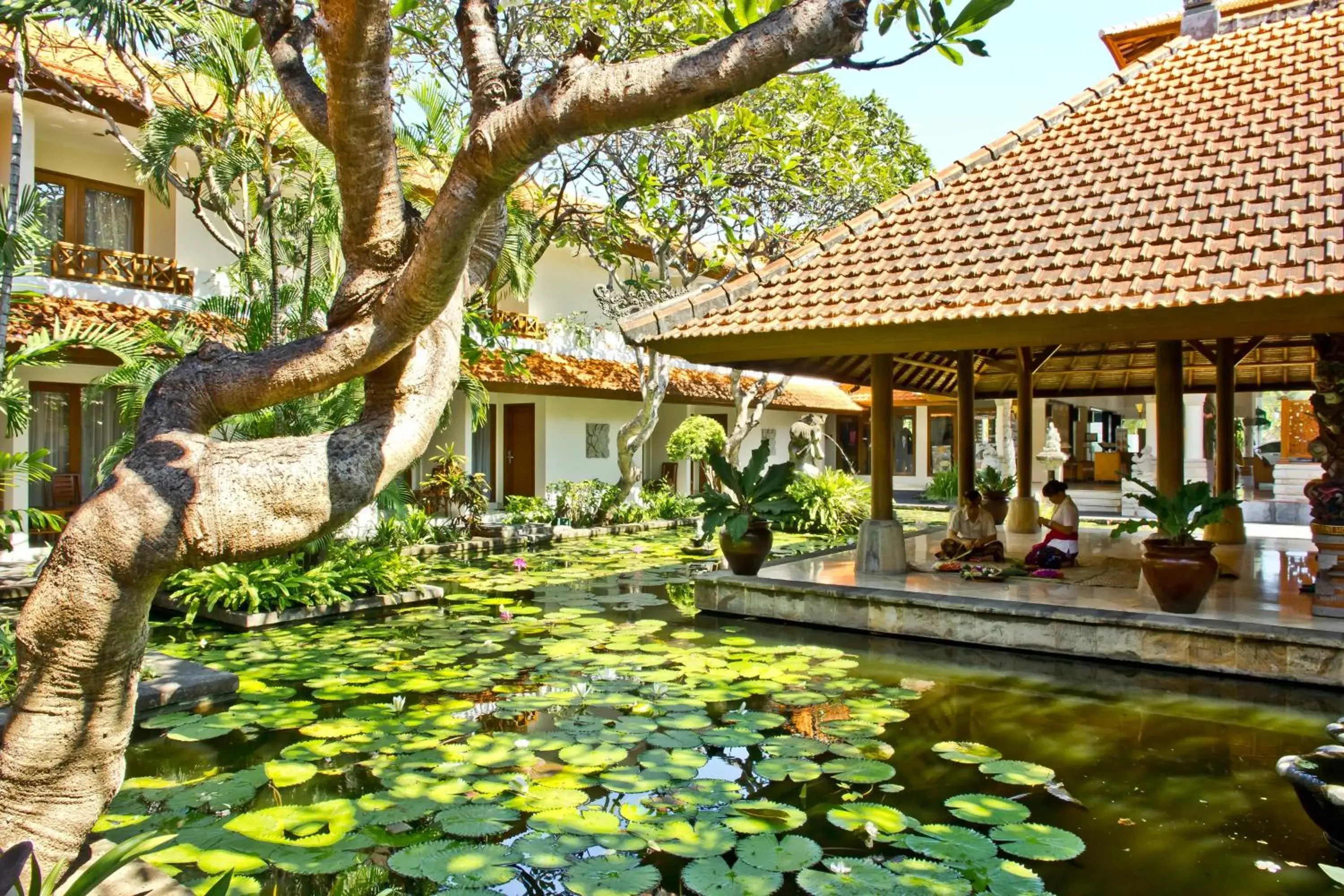 Natural landscape in Bali Rani Hotel