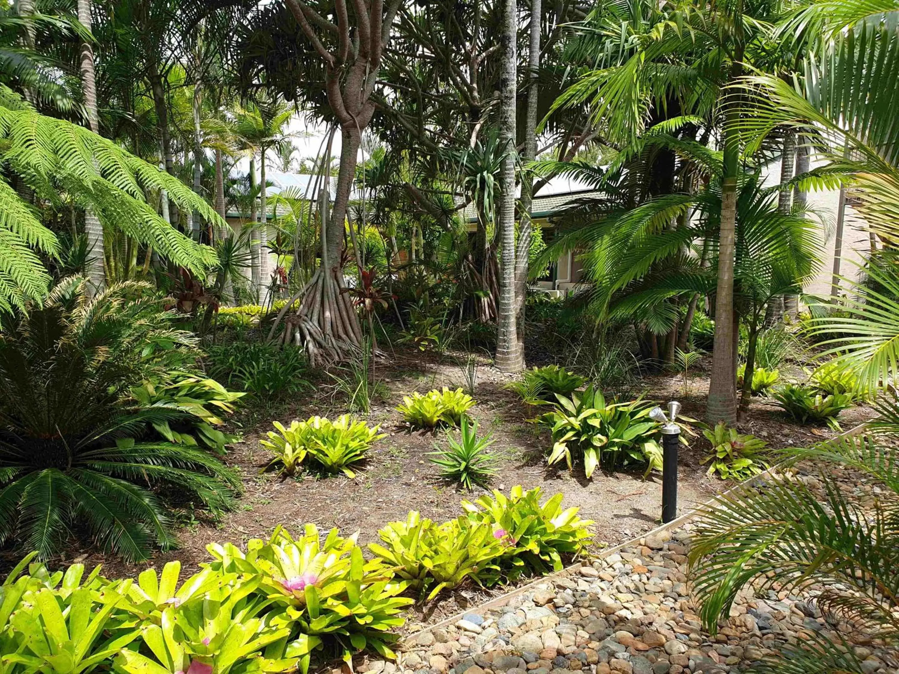 Garden in Ballina Beach Resort