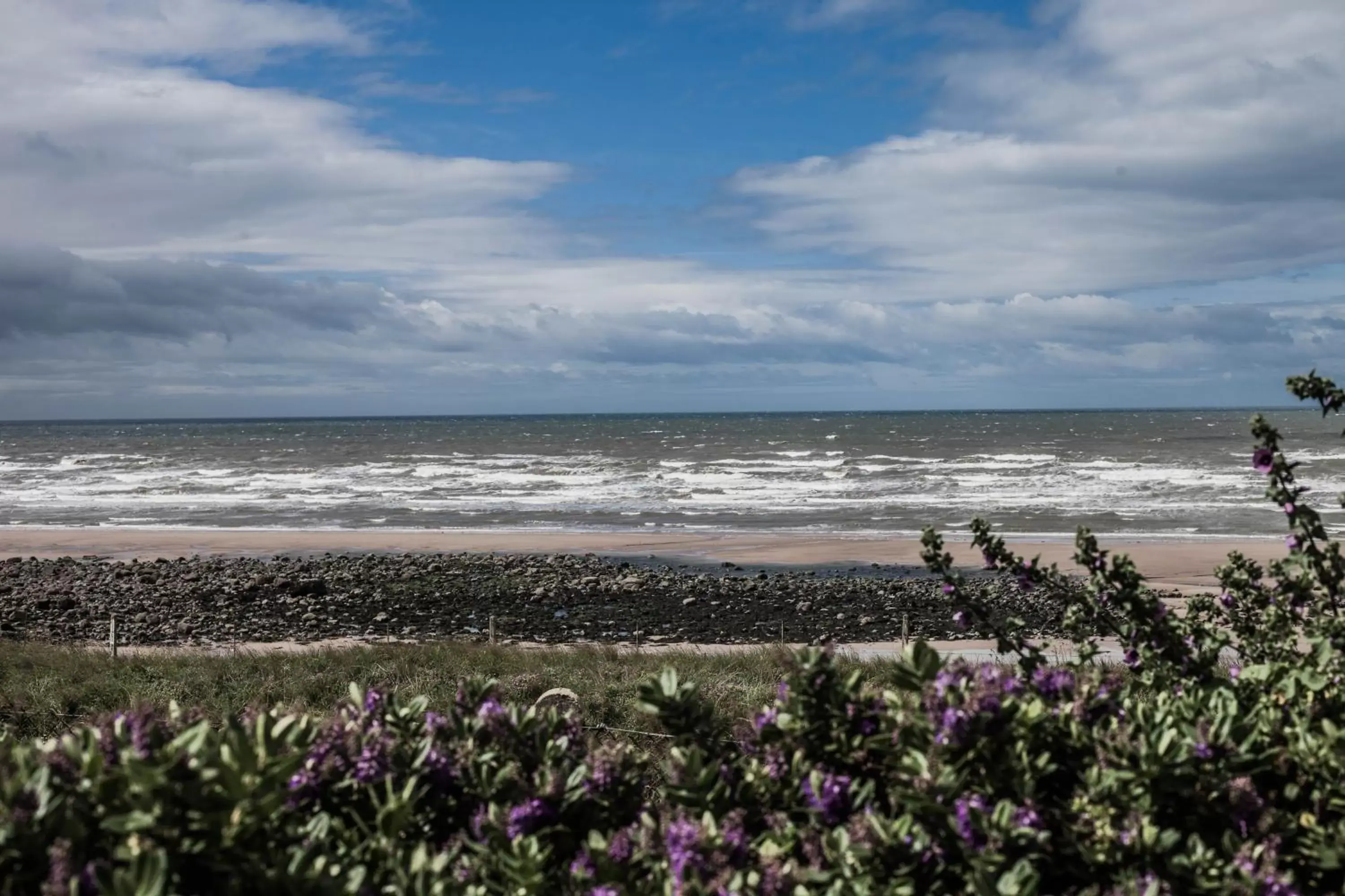 Beach in Bailey Ground Lodge