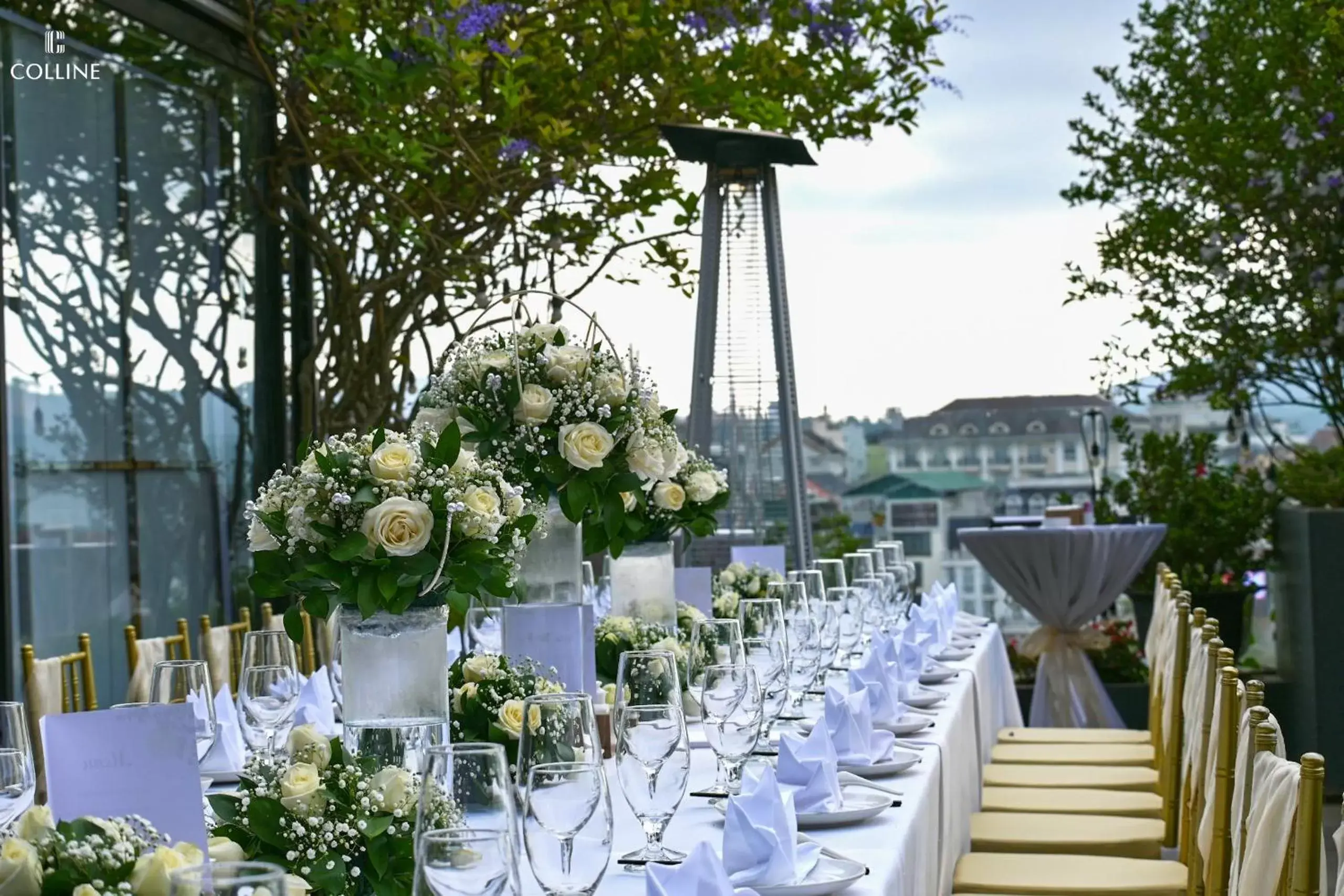 Banquet/Function facilities, Banquet Facilities in Hôtel Colline