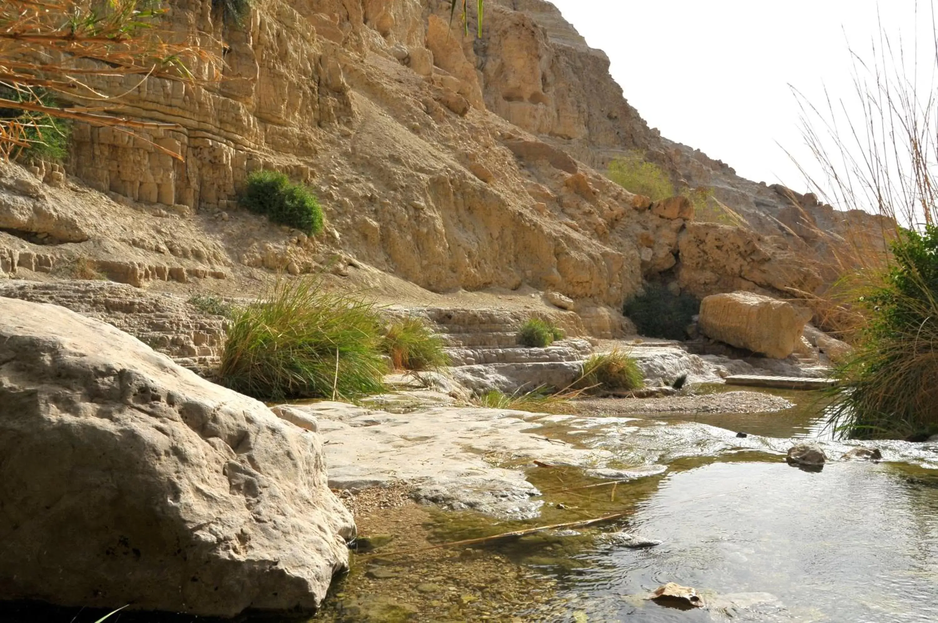 River view, Natural Landscape in Ein Gedi Kibbutz Hotel