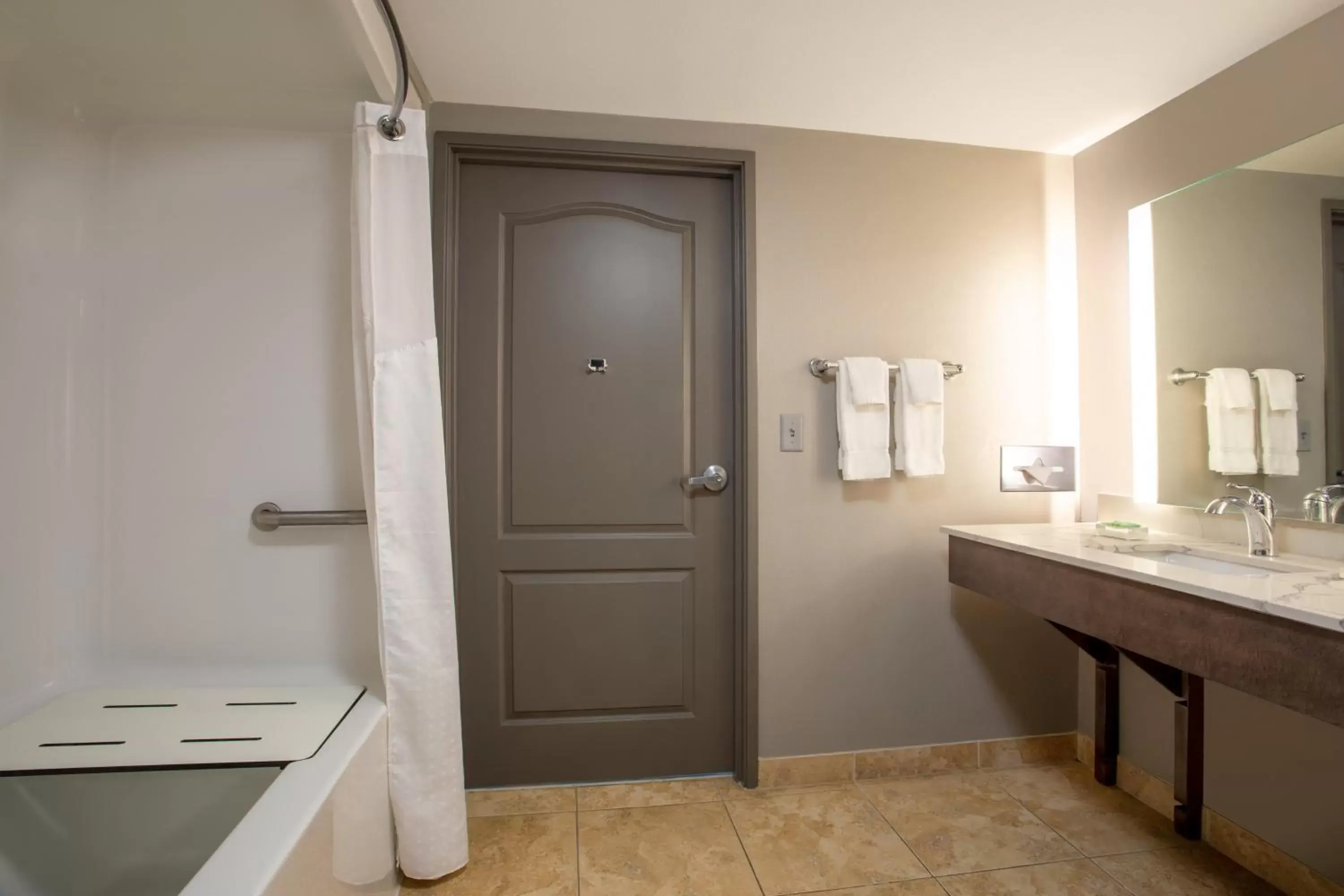 Bathroom in Holiday Inn Valdosta Conference Center, an IHG Hotel