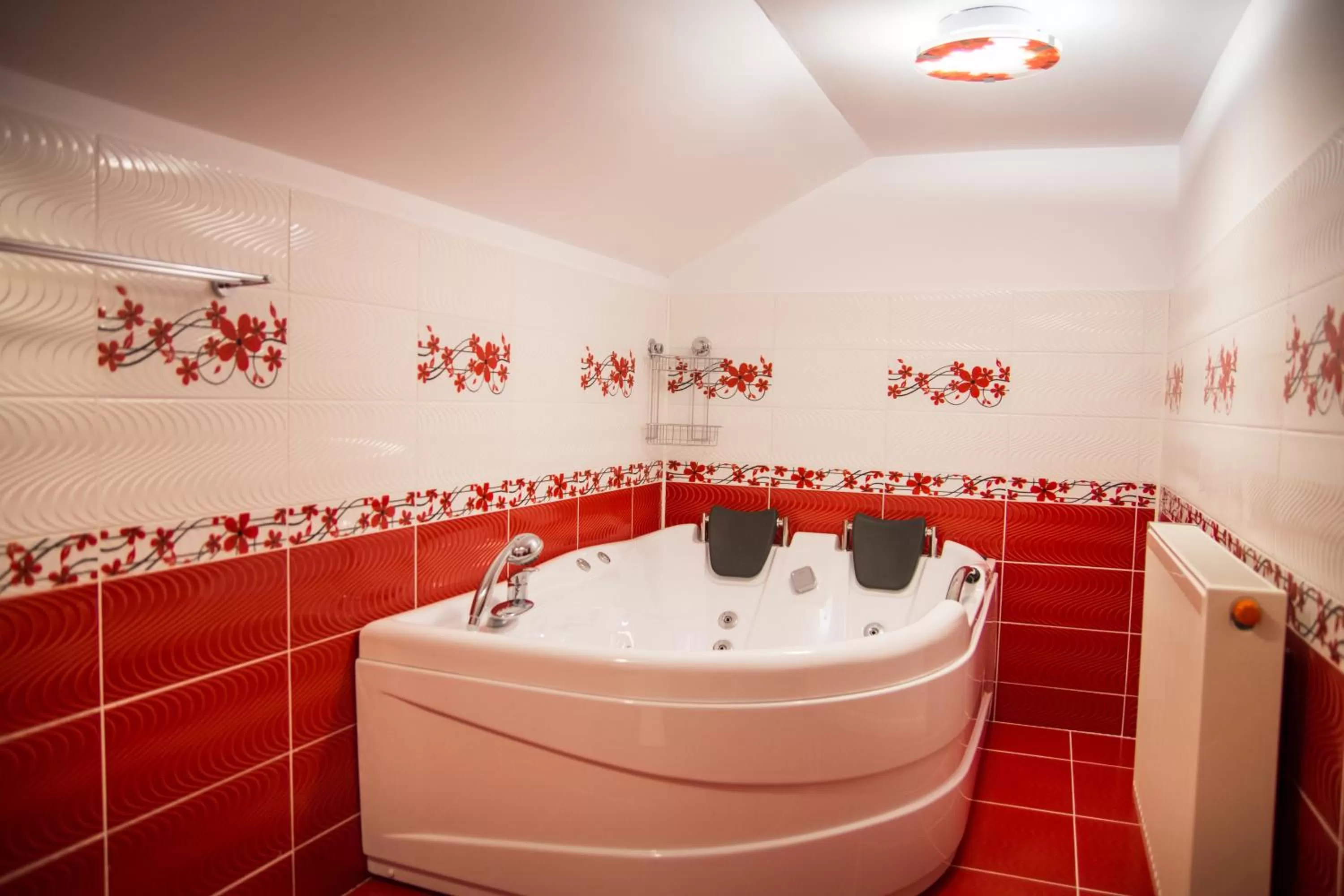 Property building, Bathroom in Pensiunea SilvAnka