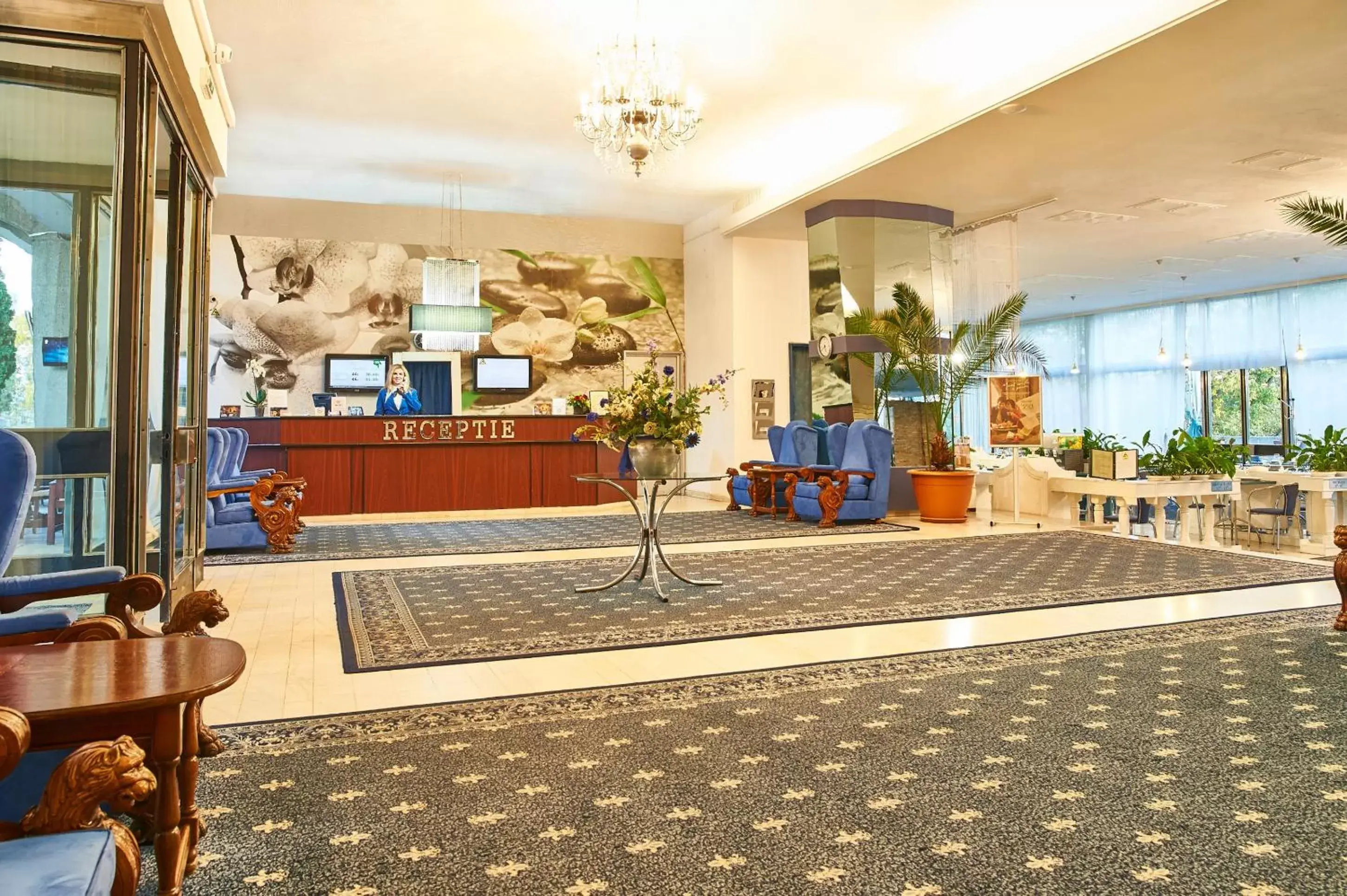 Lobby or reception, Lobby/Reception in Continental Drobeta Turnu Severin