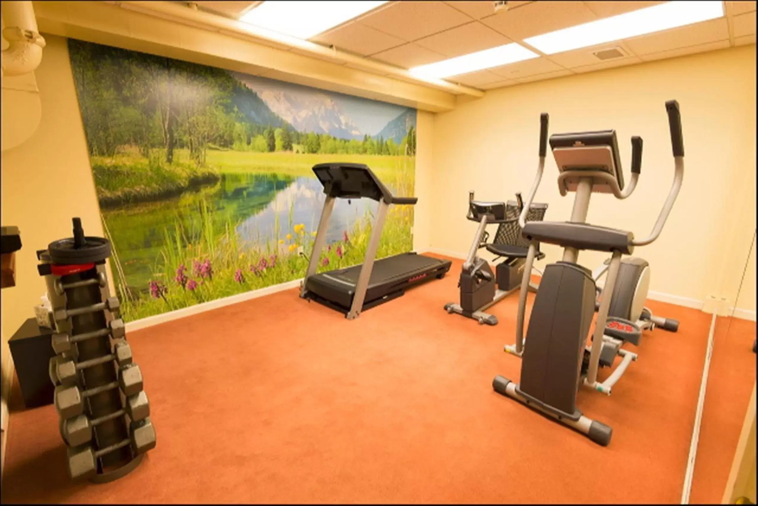 Fitness centre/facilities, Fitness Center/Facilities in Geiser Grand Hotel