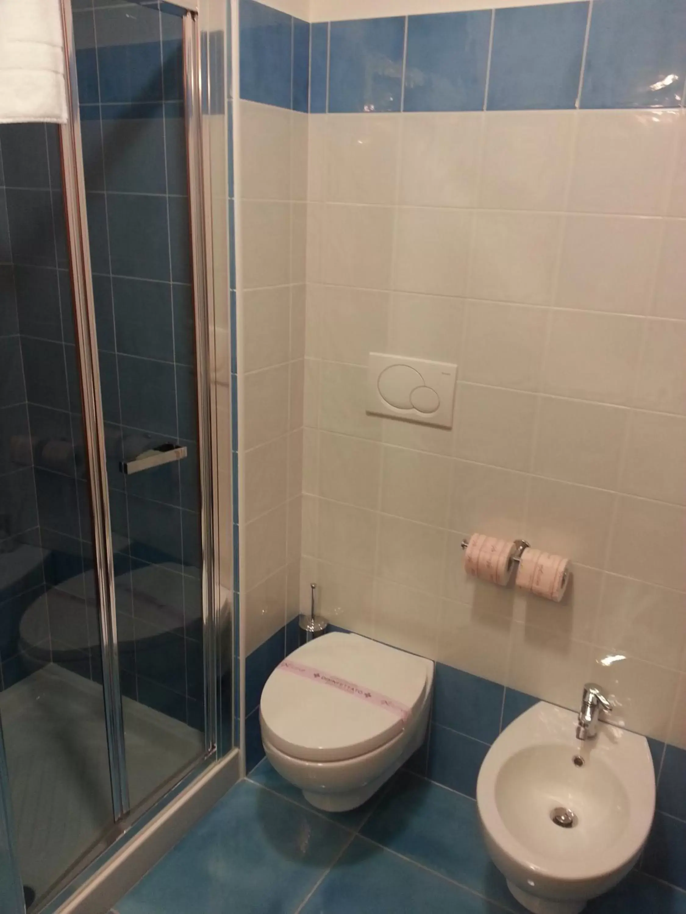 Shower, Bathroom in Serpa Hotel
