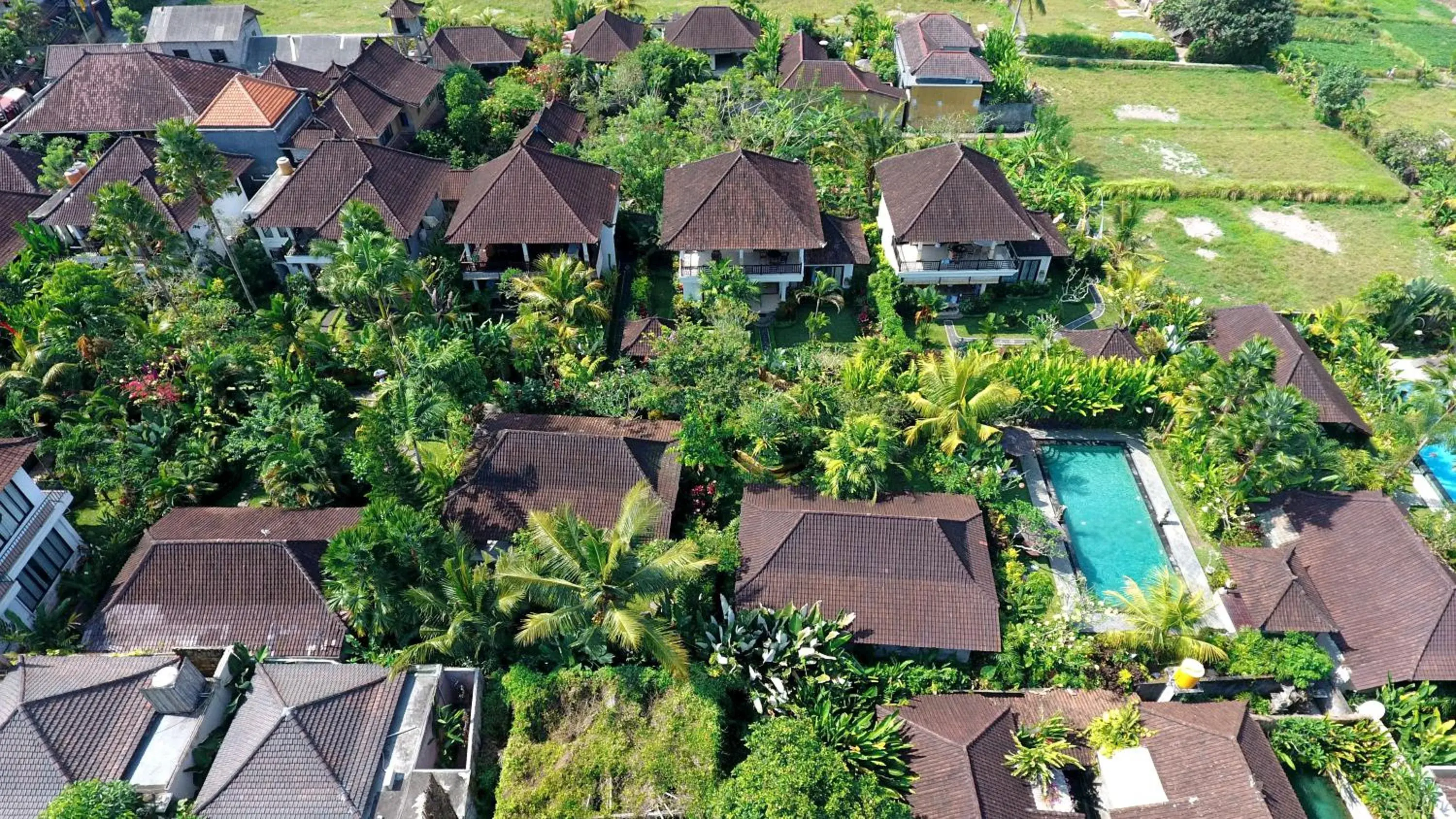 Bird's eye view in Bali Dream Resort Ubud Bird's eye view in Bali Dream Resort Ubud
