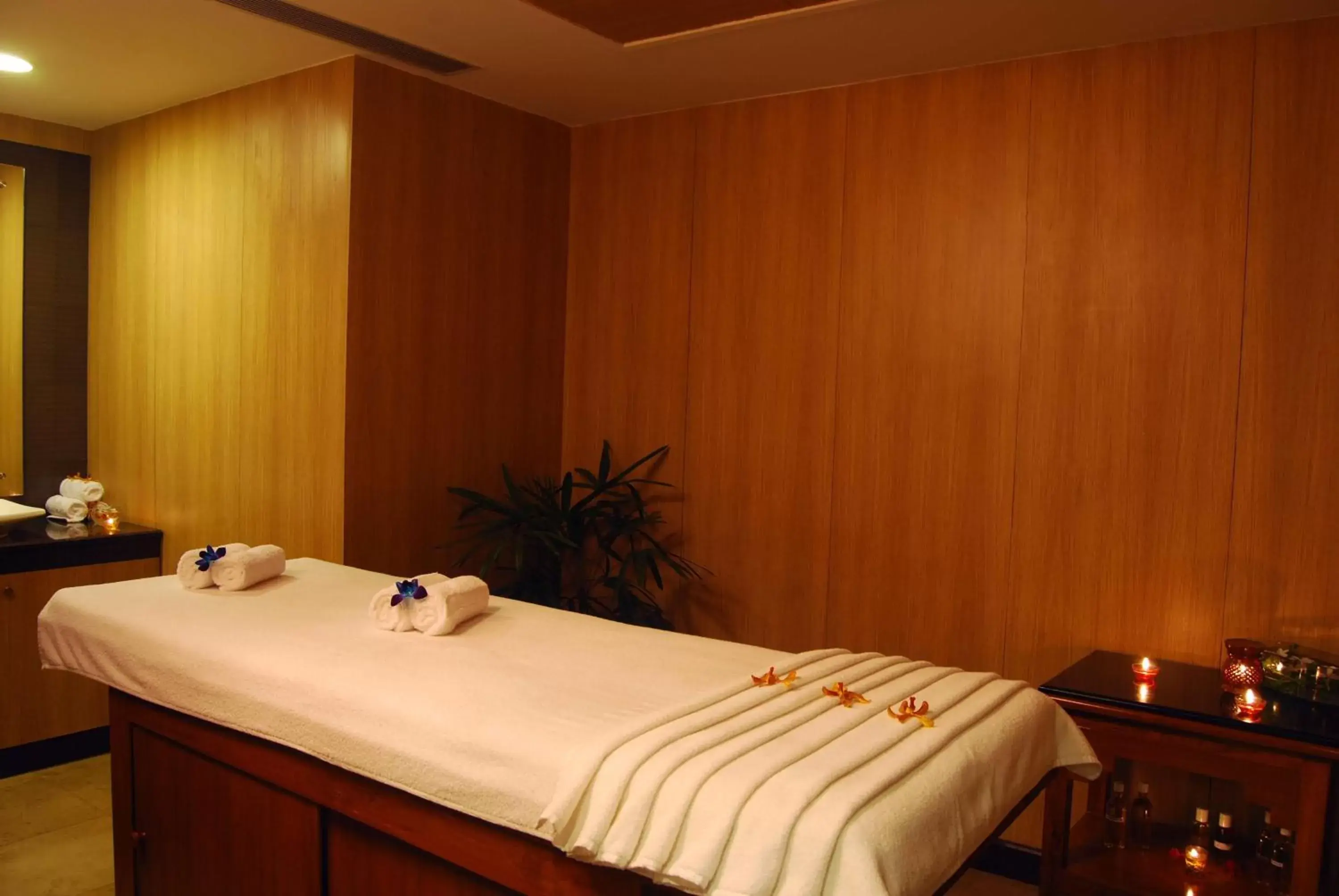 Spa and wellness centre/facilities in Country Inn & Suites By Radisson, Sahibabad