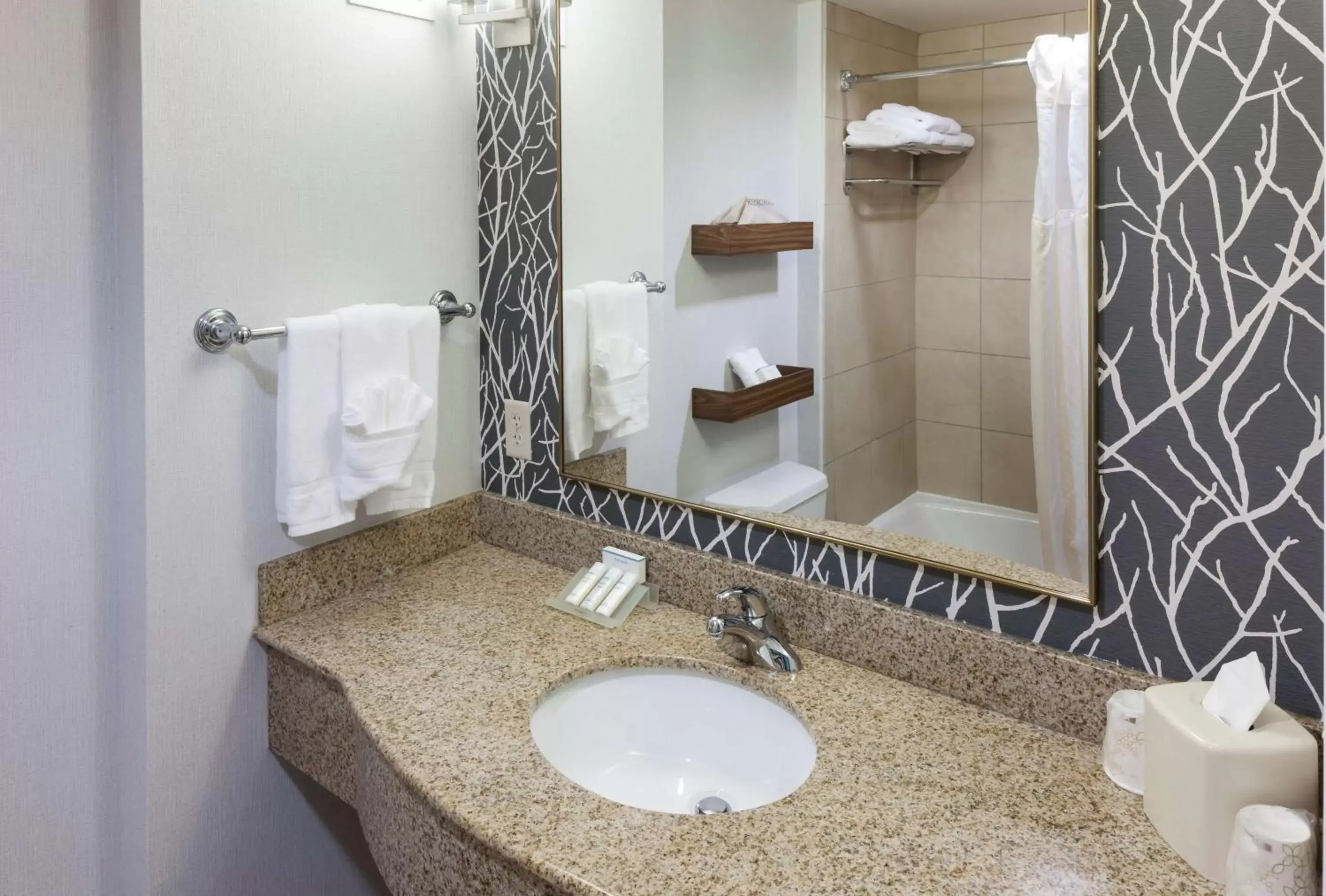 Bathroom in Hilton Garden Inn Austin North