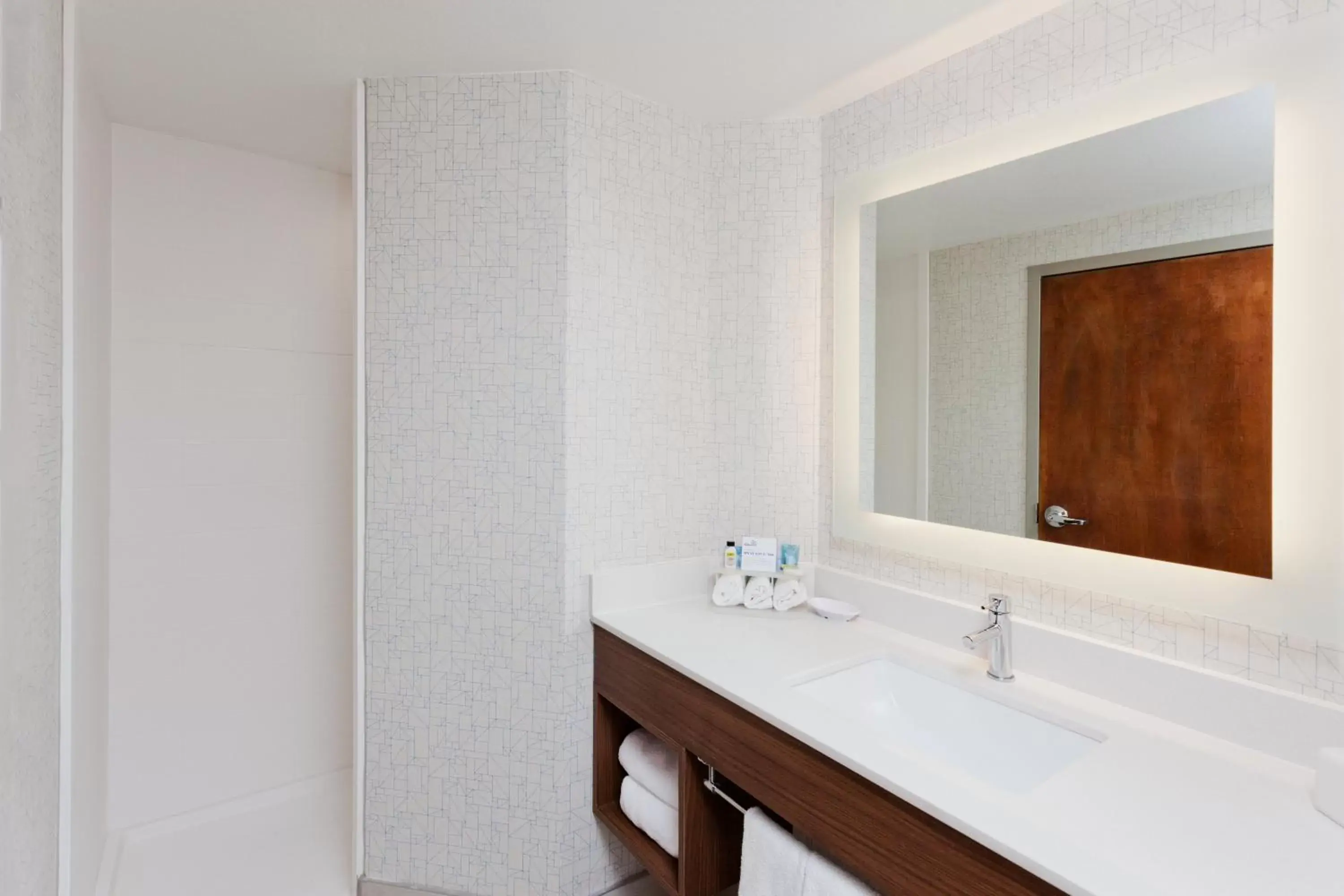 Photo of the whole room, Bathroom in Holiday Inn Express Hotel & Suites Montgomery Boyd-Cooper Parkway, an IHG Hotel