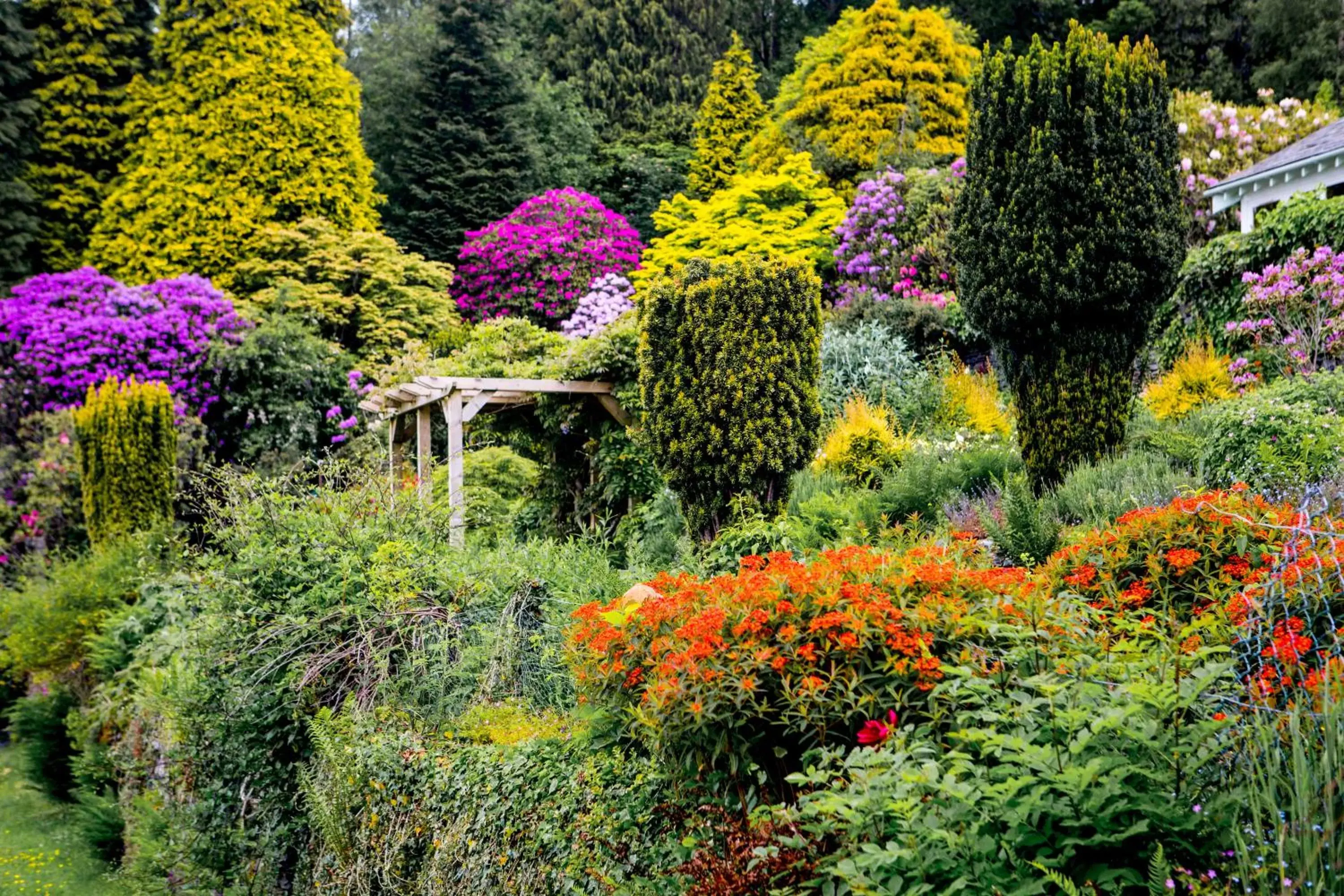 Natural landscape in Lindeth Fell Country House