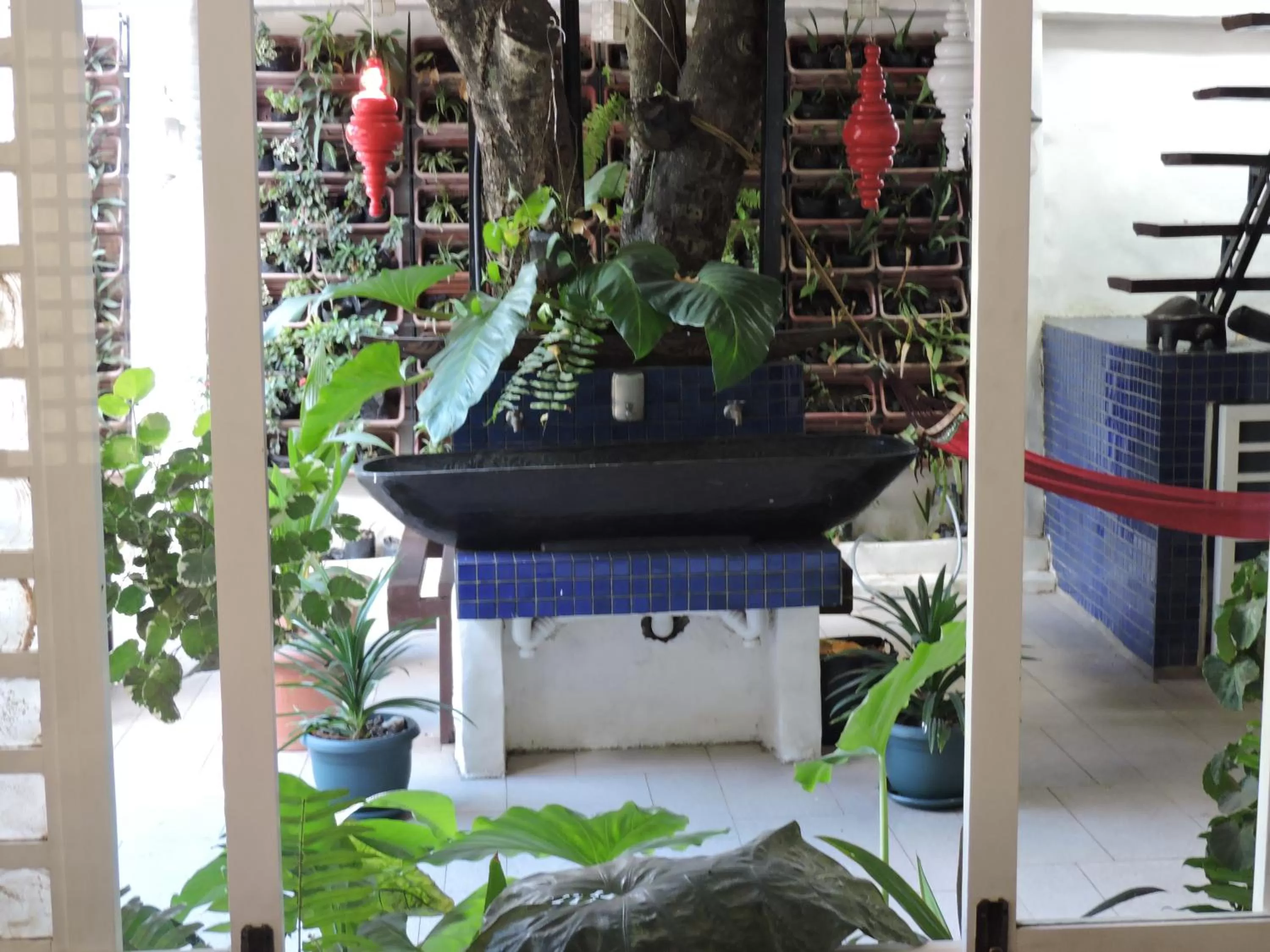 Garden in Orange Mangrove Pension House by SMS Hospitality