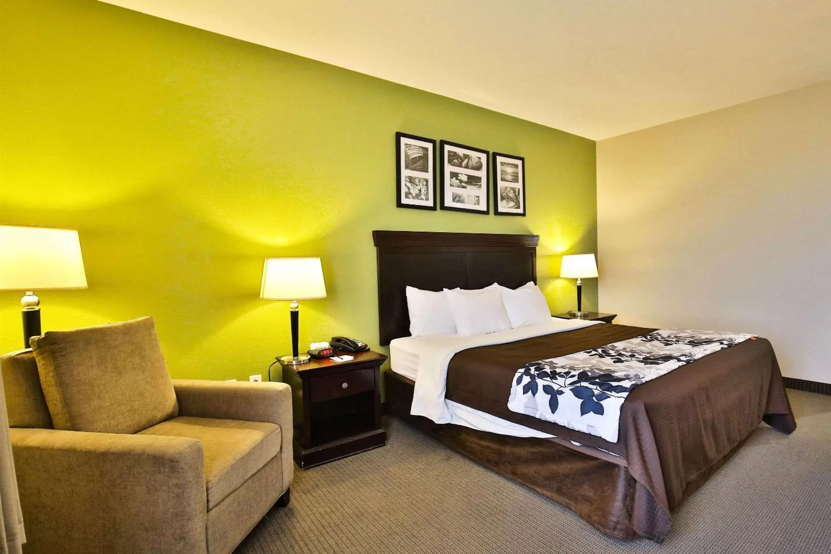 Photo of the whole room, Bed in Sleep Inn & Suites University